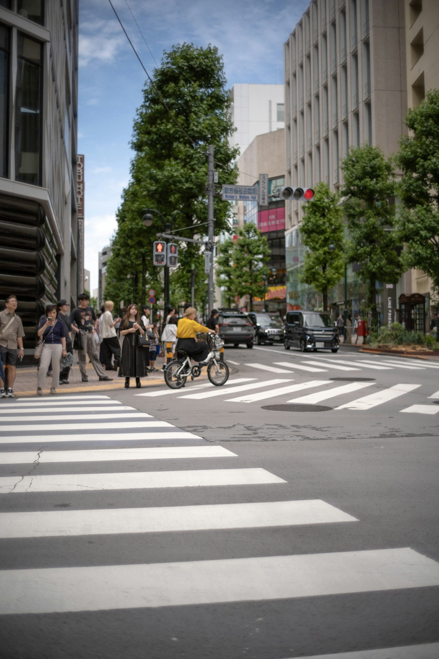 人们在交叉口过马路有骑自行车的人和周围的建筑街道两旁有绿树