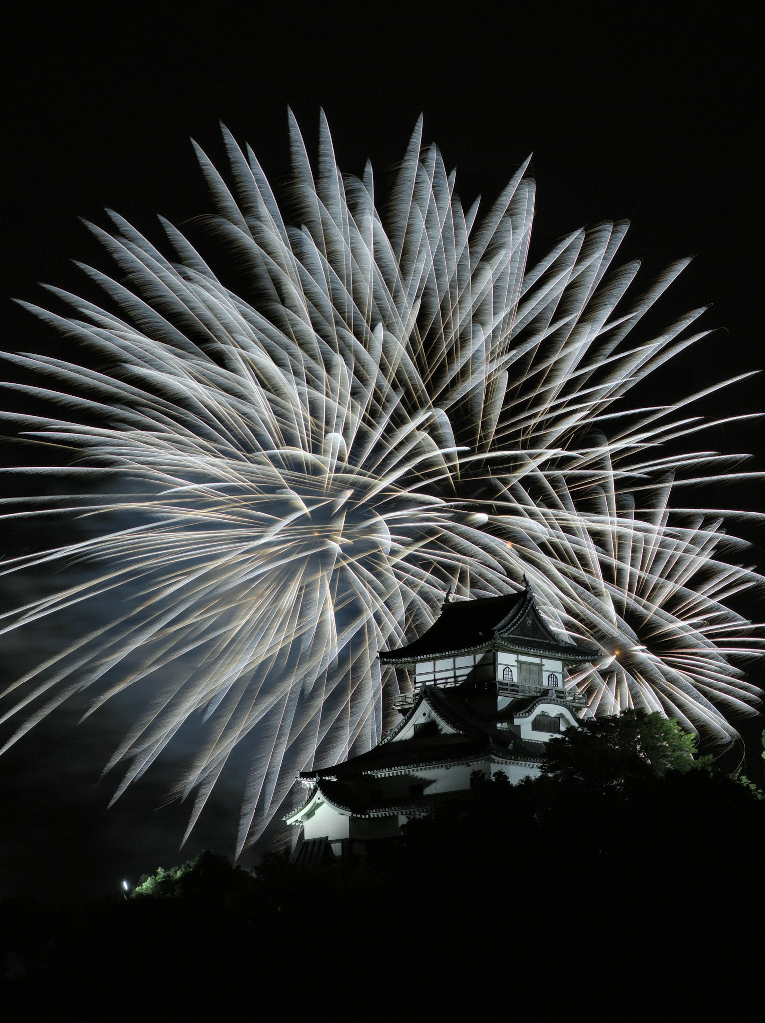 夜空中绽放的烟花，前景中有一座城堡的轮廓