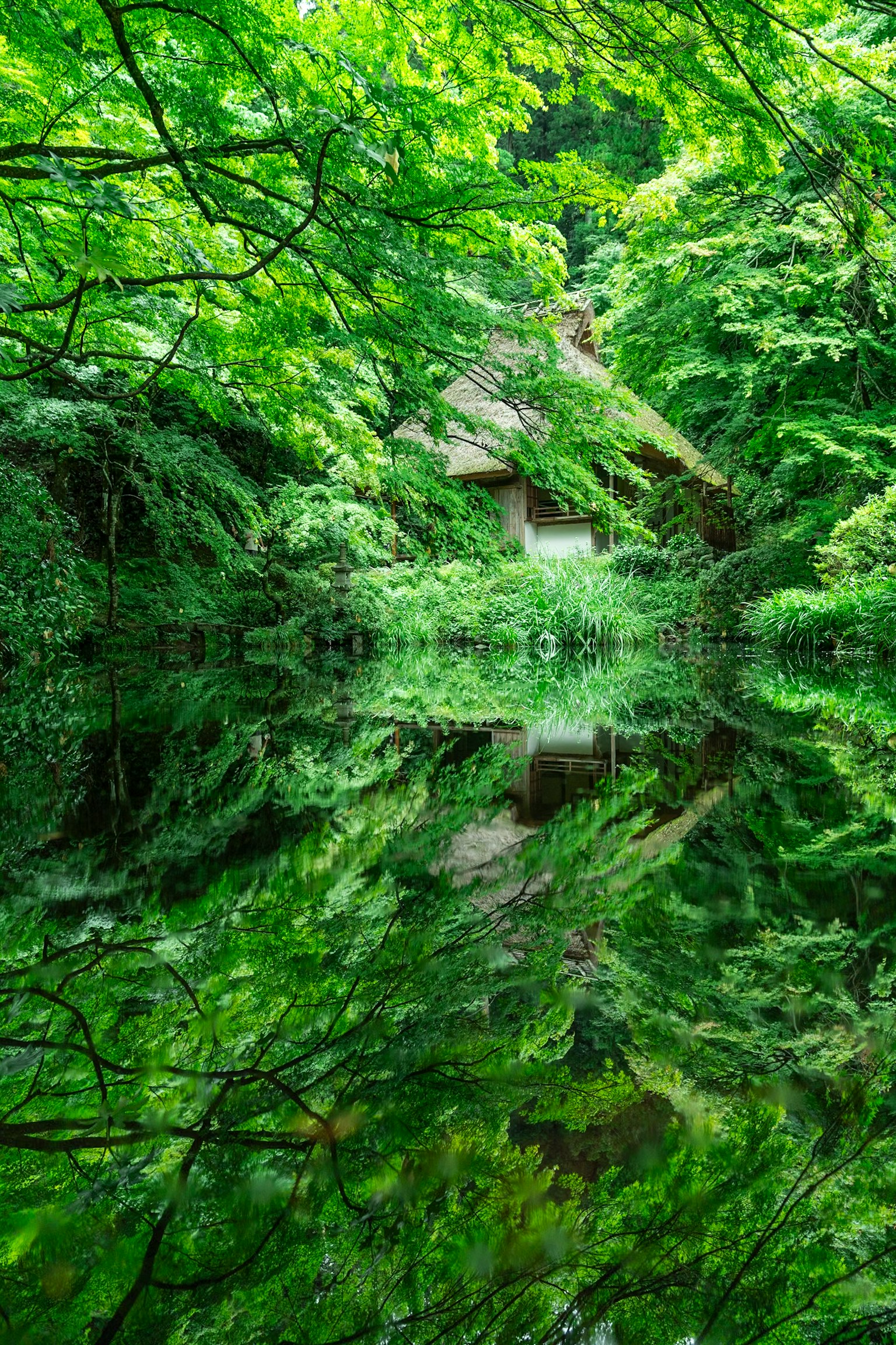 Vista panoramica di alberi verdi che si riflettono su acqua calma con una capanna rustica