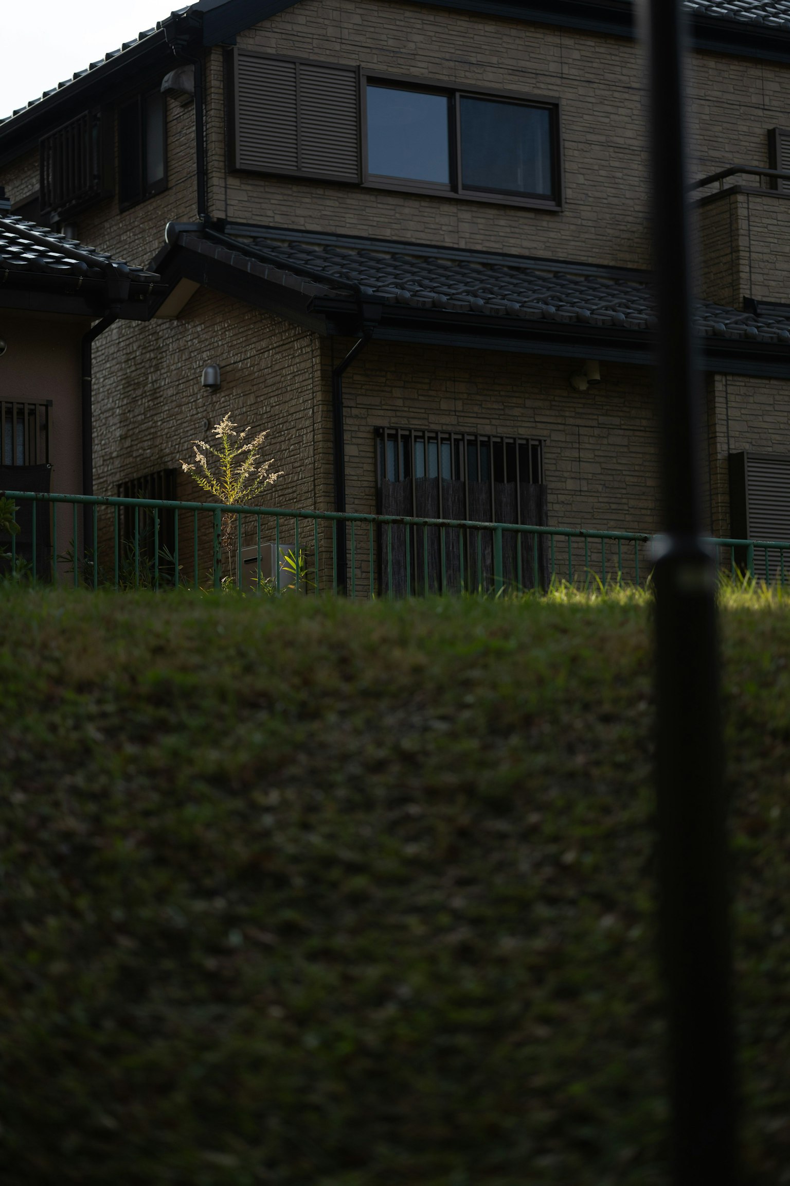 ต้นไม้เล็กและหญ้าหน้าตึกที่อยู่อาศัย