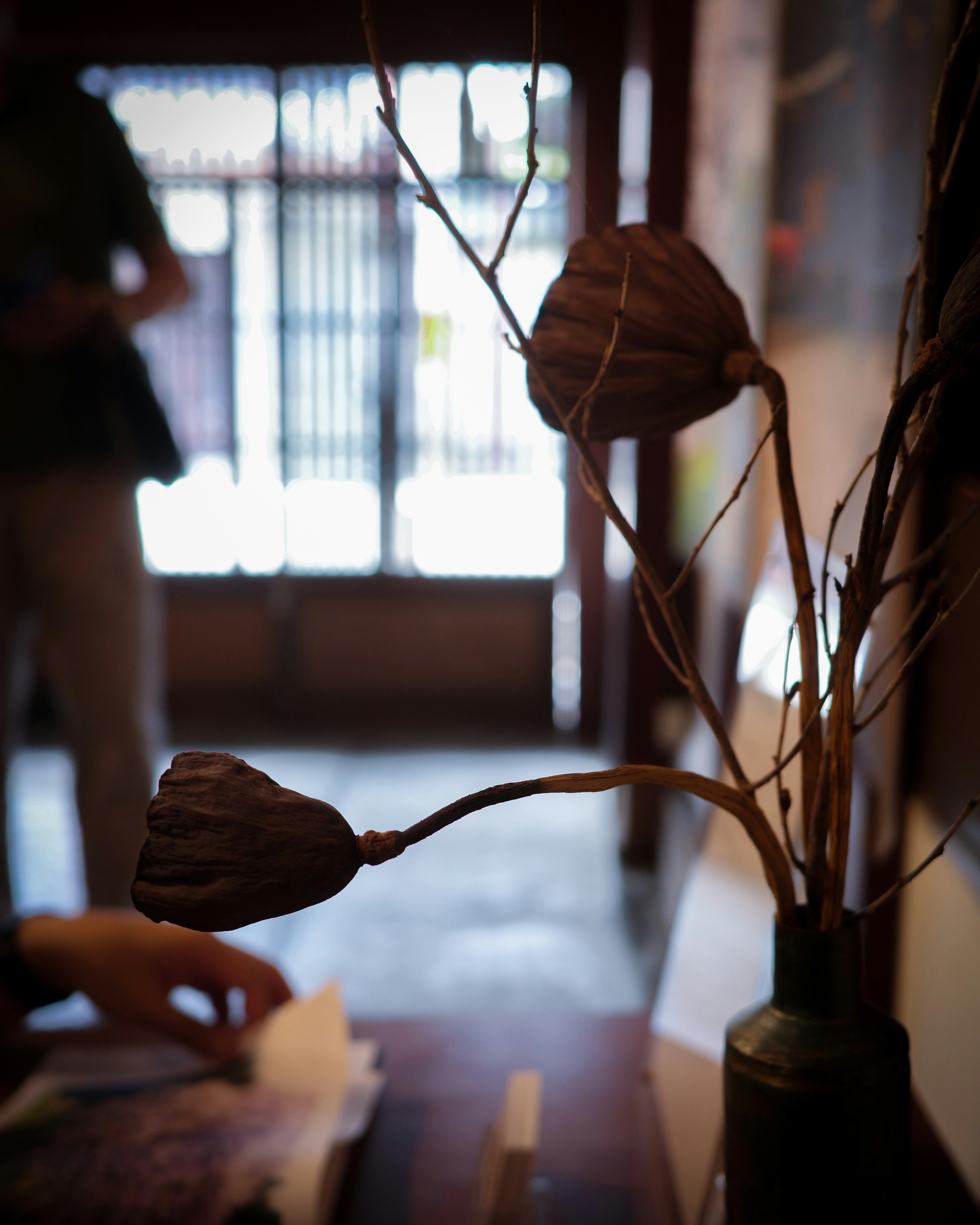 Scène intérieure calme avec un vase de branches et des mains