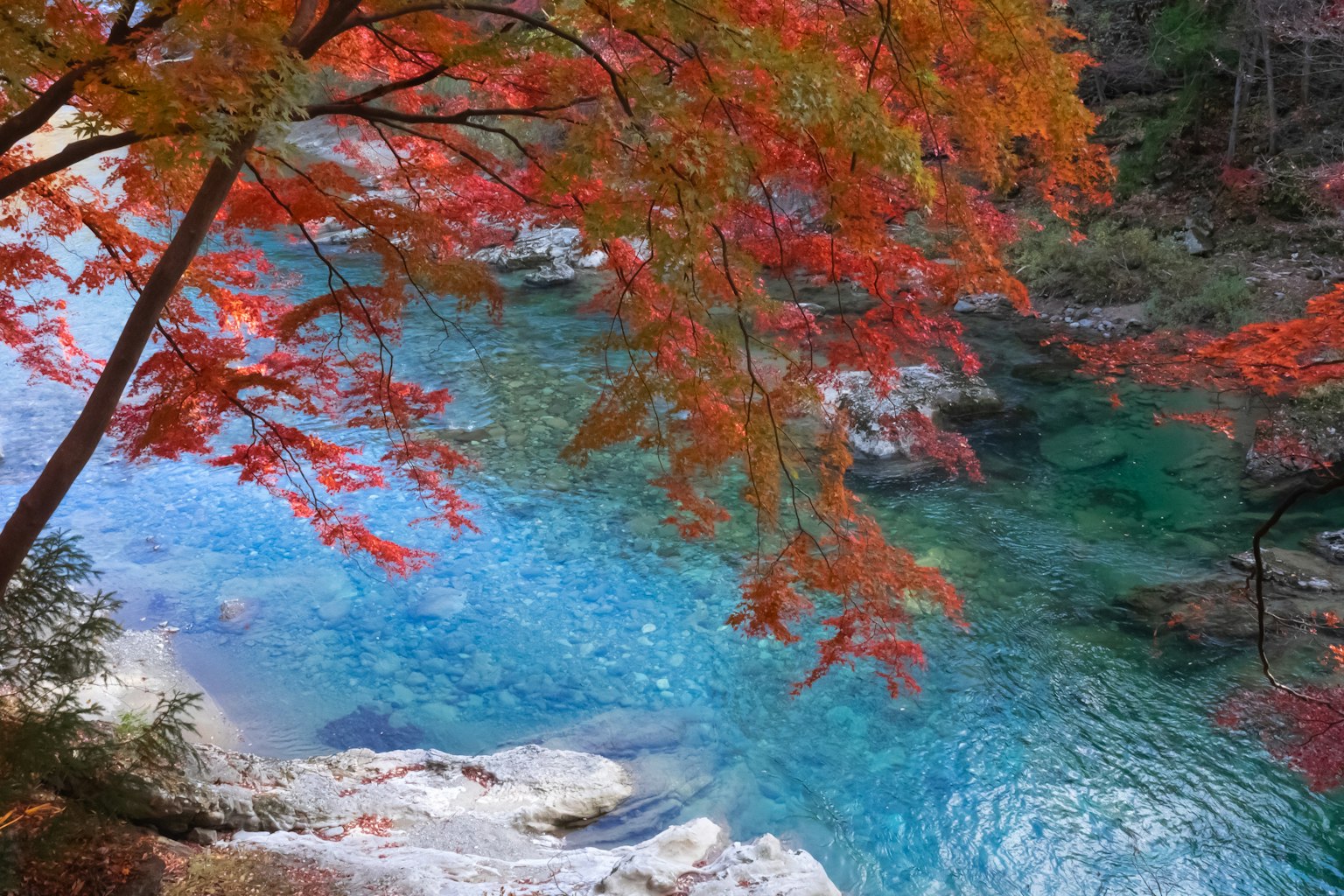 秋天的河流景观，生动的秋叶和清澈的蓝色水面
