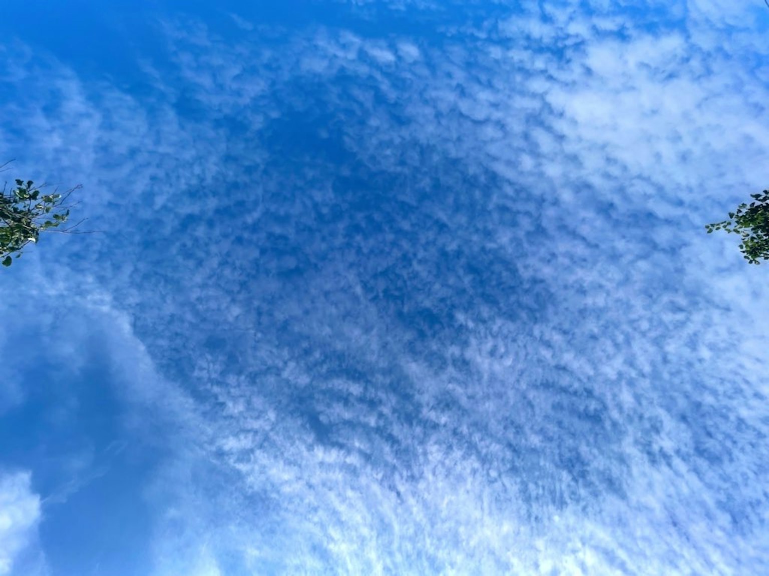 푸른 하늘과 구름이 가득한 경치