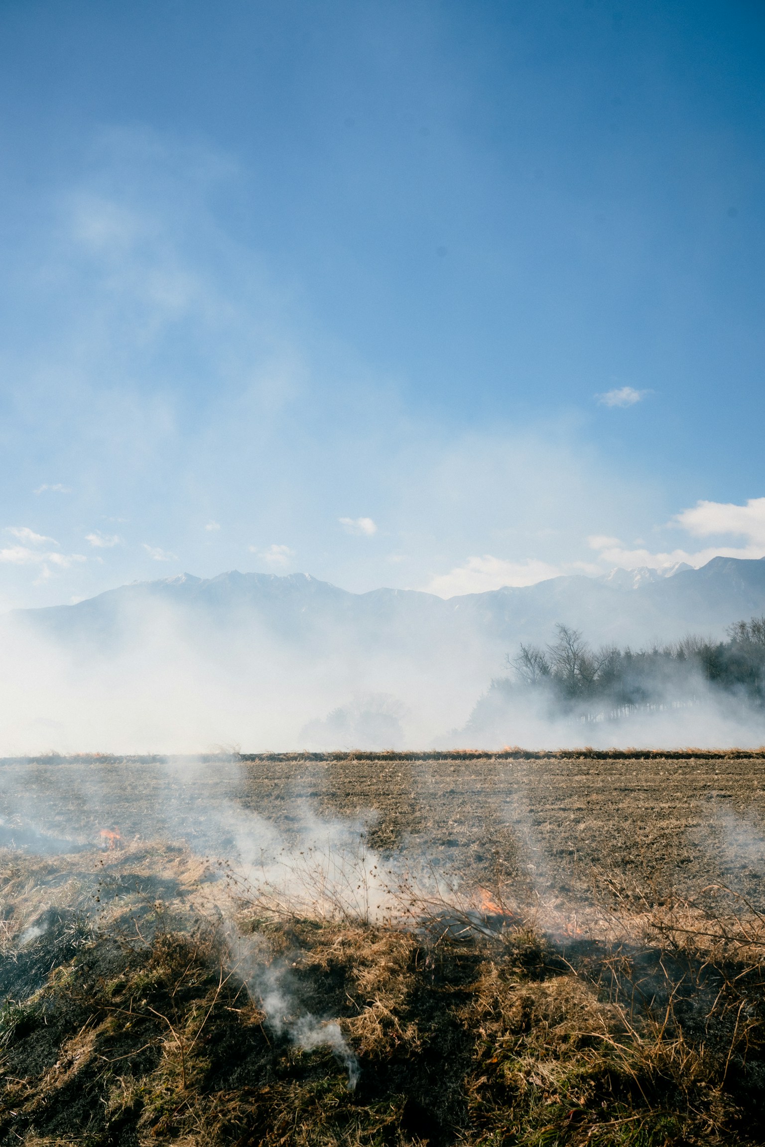 photo-j2kiUe4sPjzGLPffpTKB-image