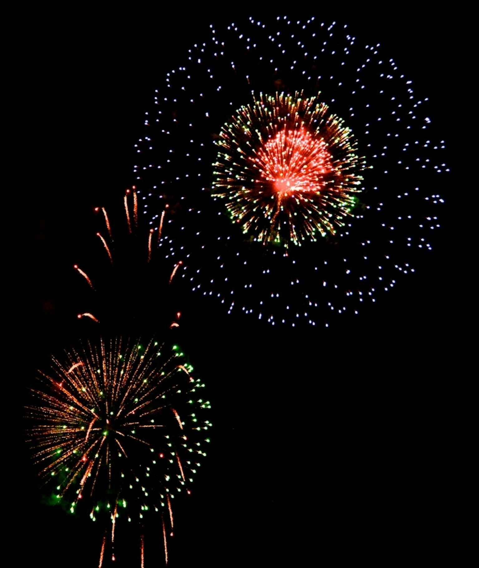 Fuochi d'artificio colorati esplodono nel cielo notturno con motivi vivaci