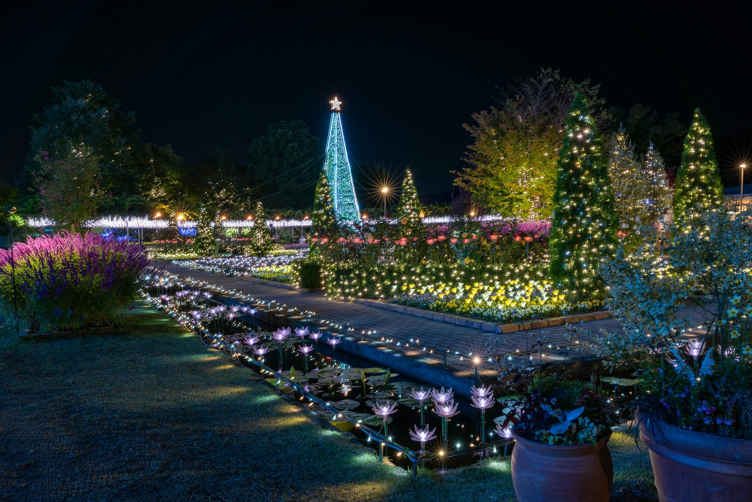 สวนที่มีแสงสว่างในตอนกลางคืนที่มีต้นคริสต์มาสและไฟสีสัน