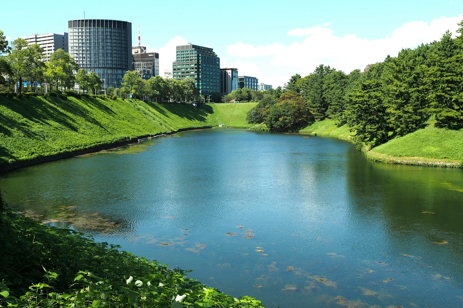 Lago sereno circondato da verde lussureggiante e edifici sullo sfondo