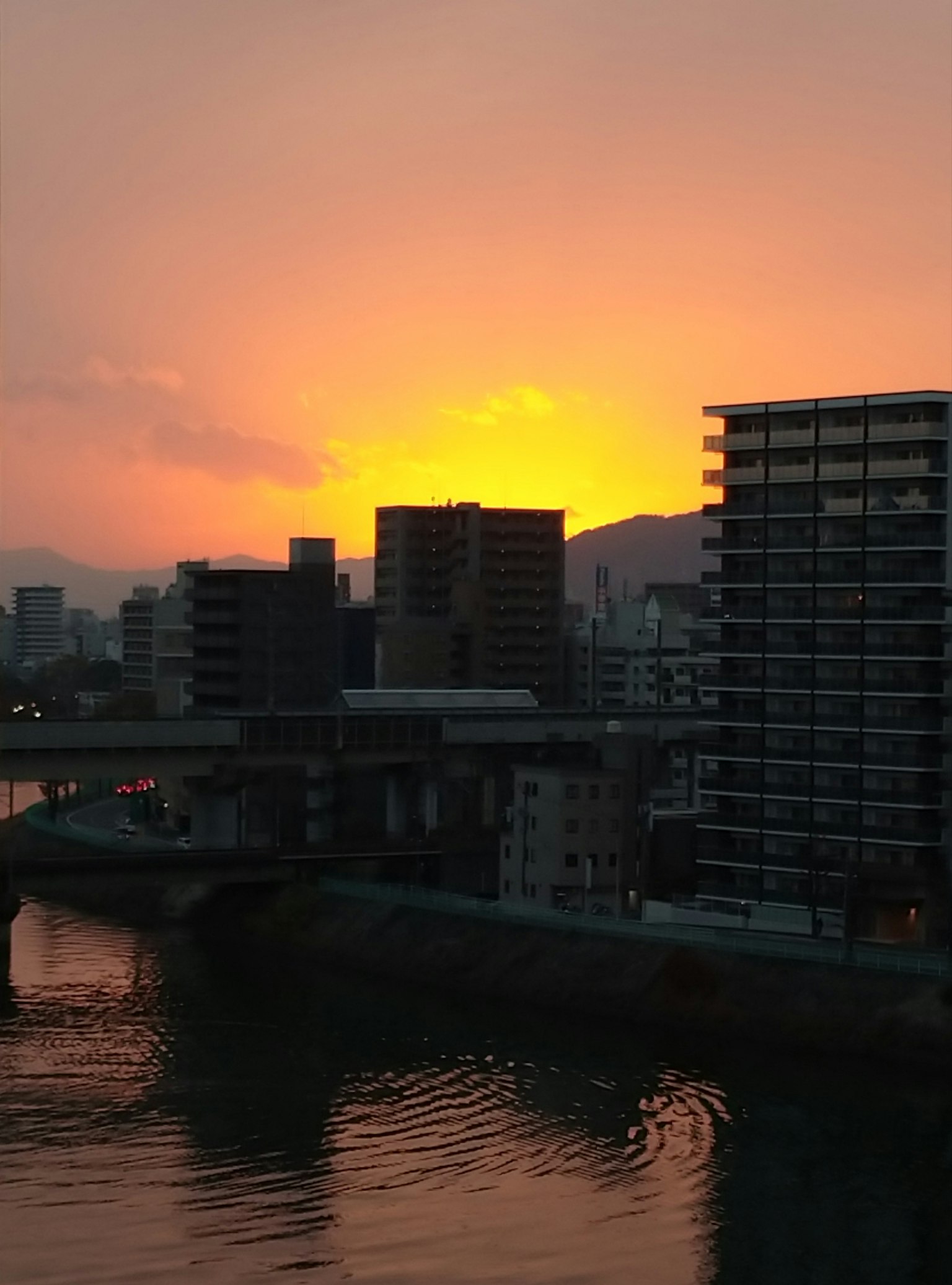 夕焼けの中の都市の風景 高層ビルと川の反射