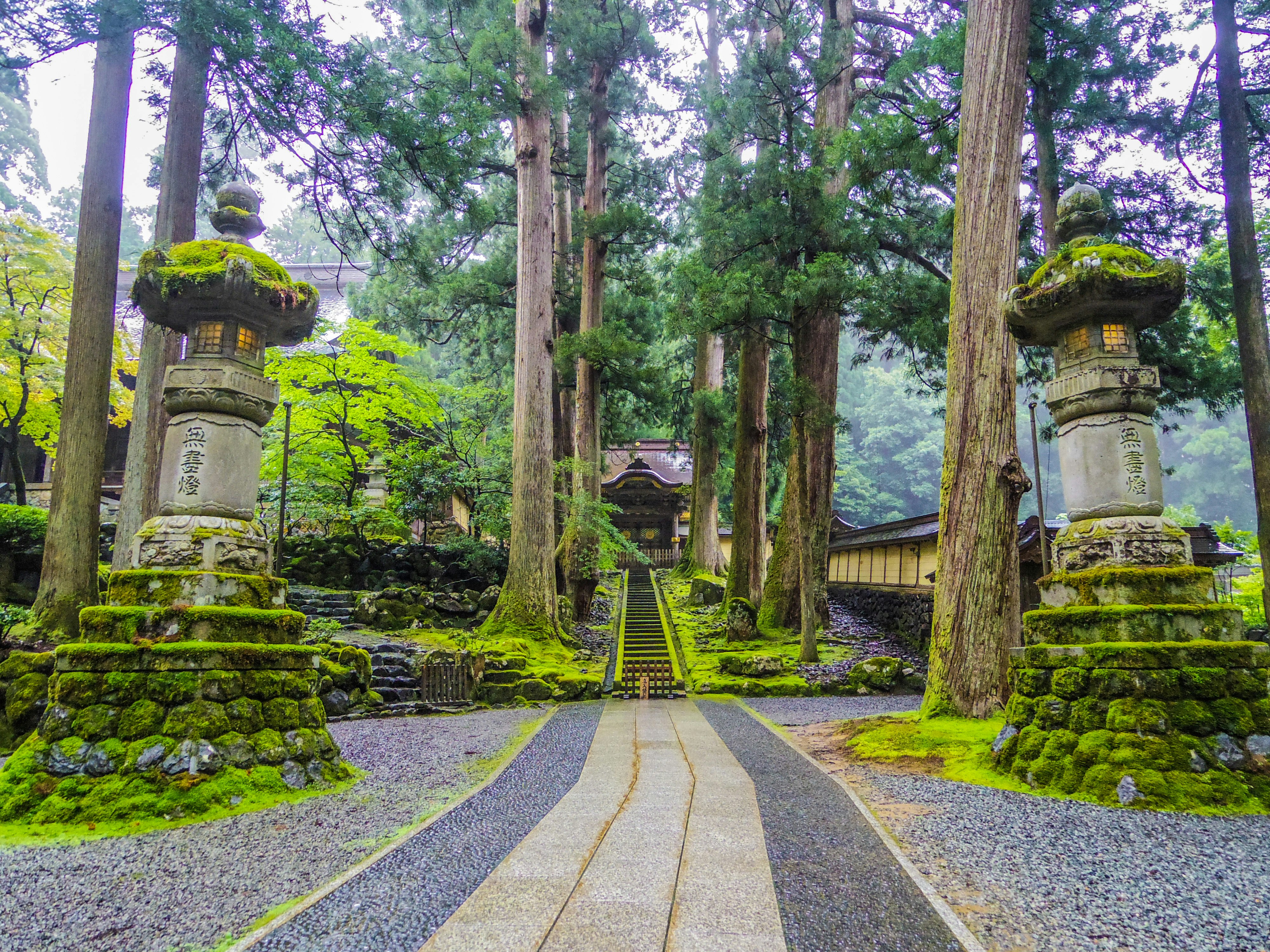 Moss-covered stone lanterns and a quiet garden path