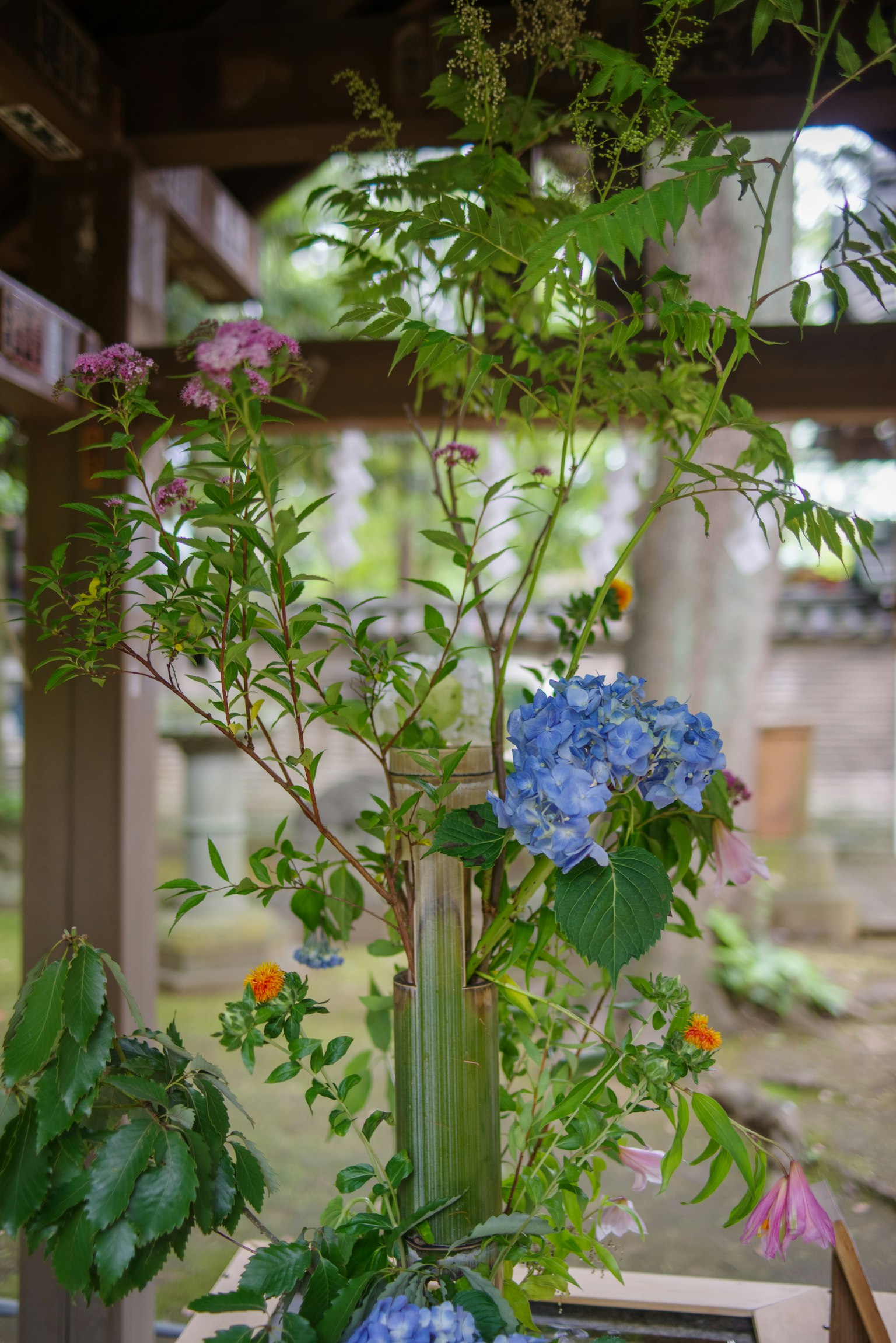 A floral arrangement featuring colorful flowers and leaves
