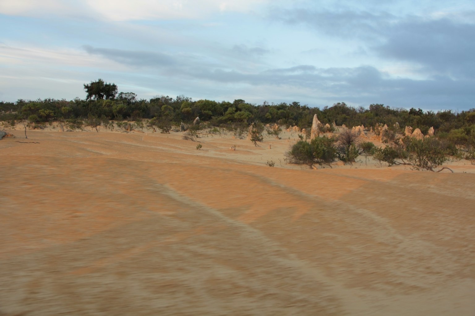 Paesaggio desertico con dune di sabbia e vegetazione sparsa