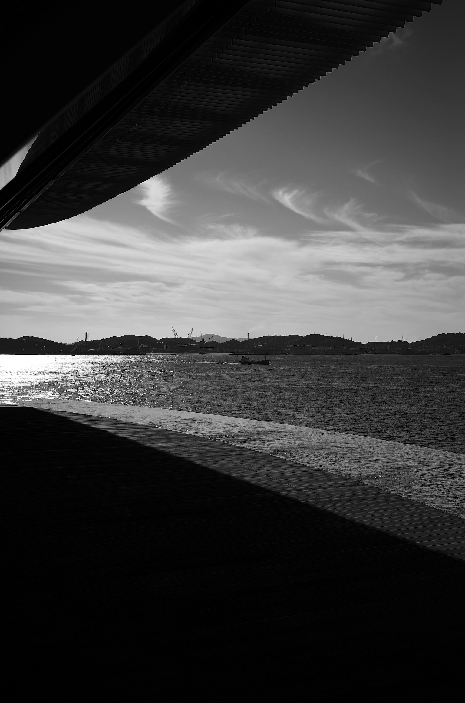 Schwarz-Weiß-Landschaft mit Meer und Bergen