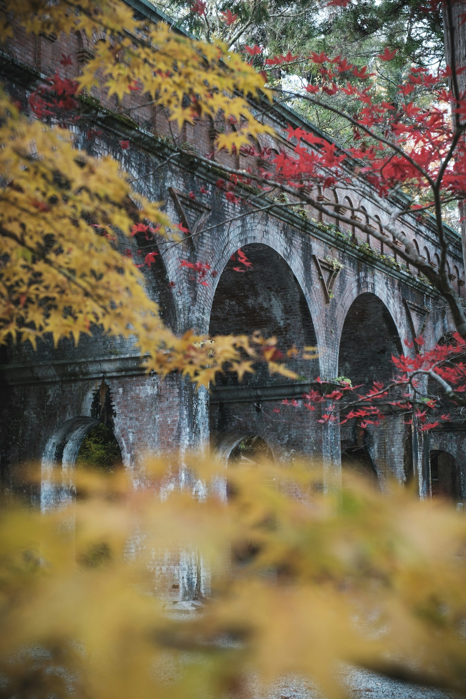 ทิวทัศน์ของสะพานโค้งเก่าที่ถูกล้อมรอบด้วยใบไม้ฤดูใบไม้ร่วงที่มีสีสัน
