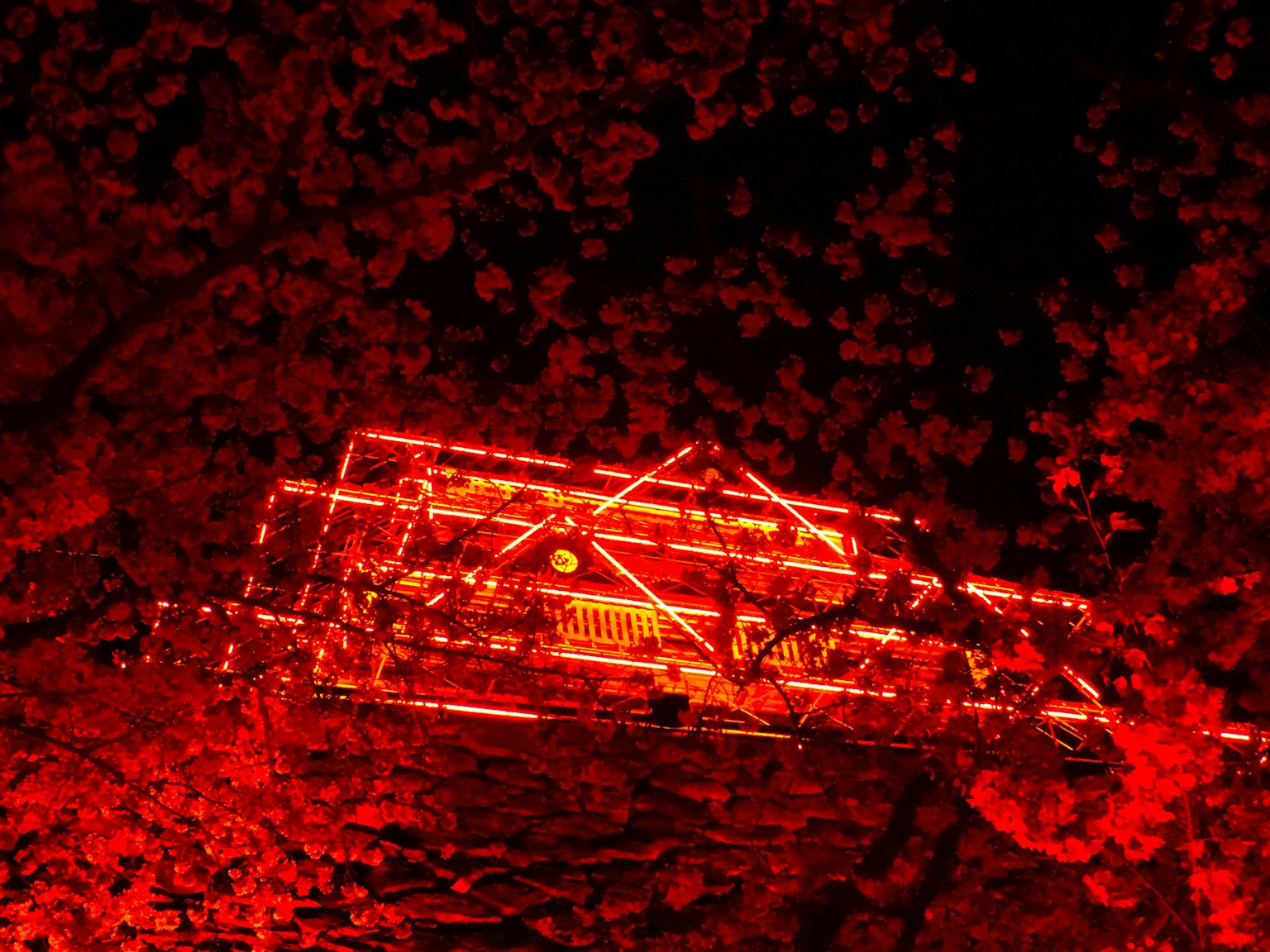 A building illuminated in red light against a night sky