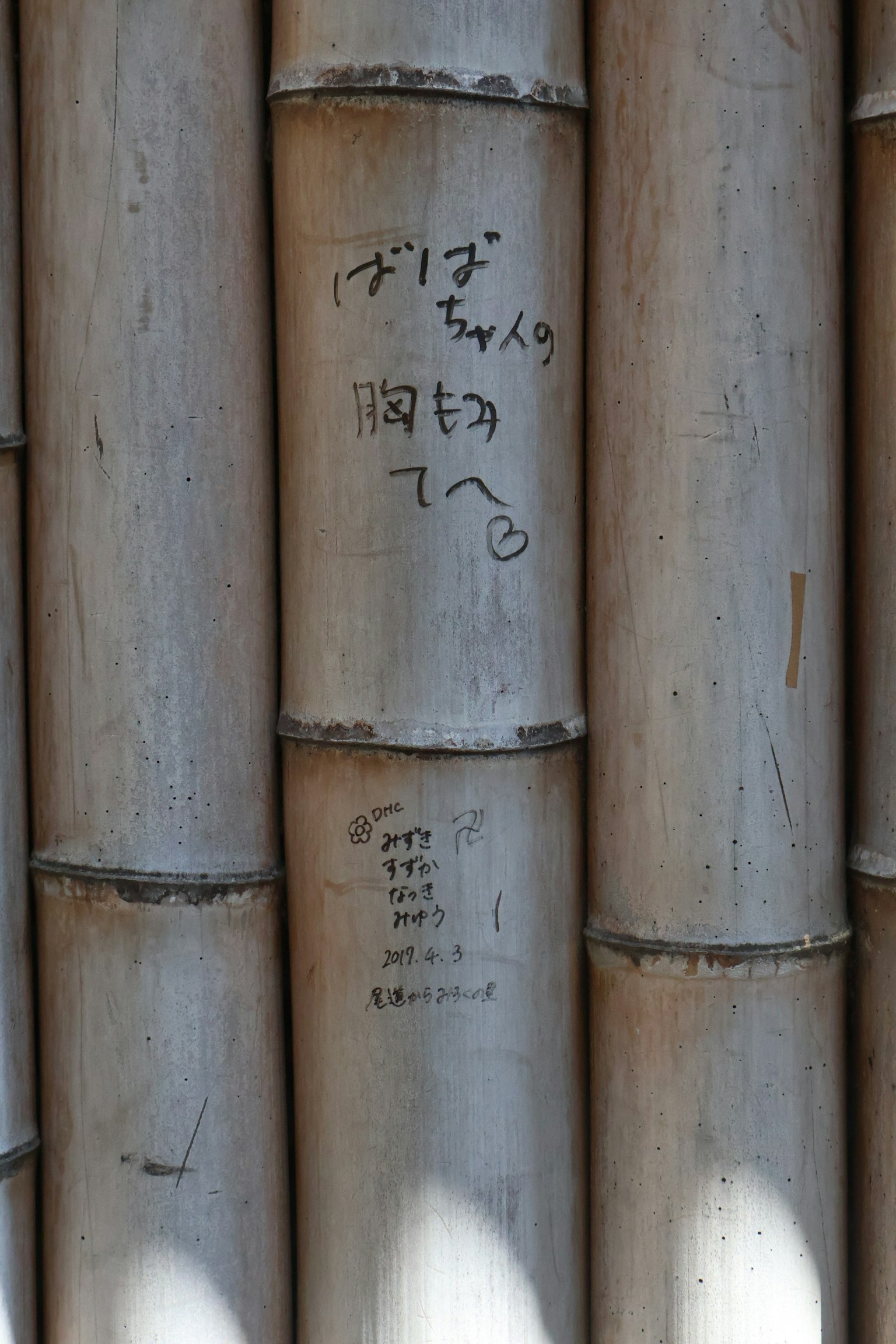 竹牆上的刻字和圖案