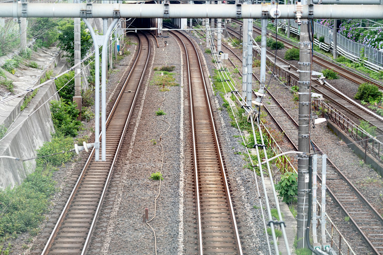 Jalur kereta api yang bersilangan dengan vegetasi hijau di samping