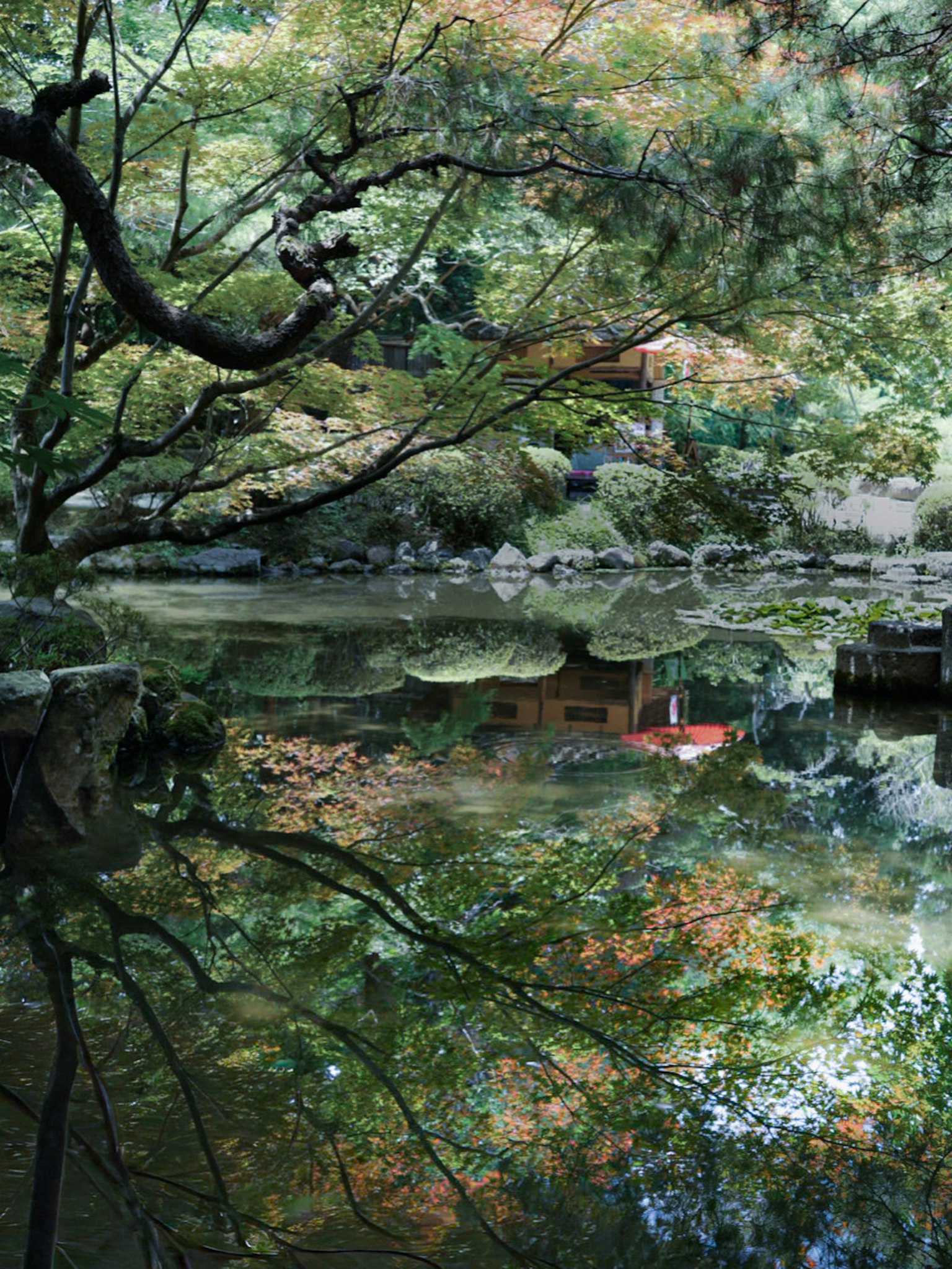 静かな池に映る色とりどりの木々の葉