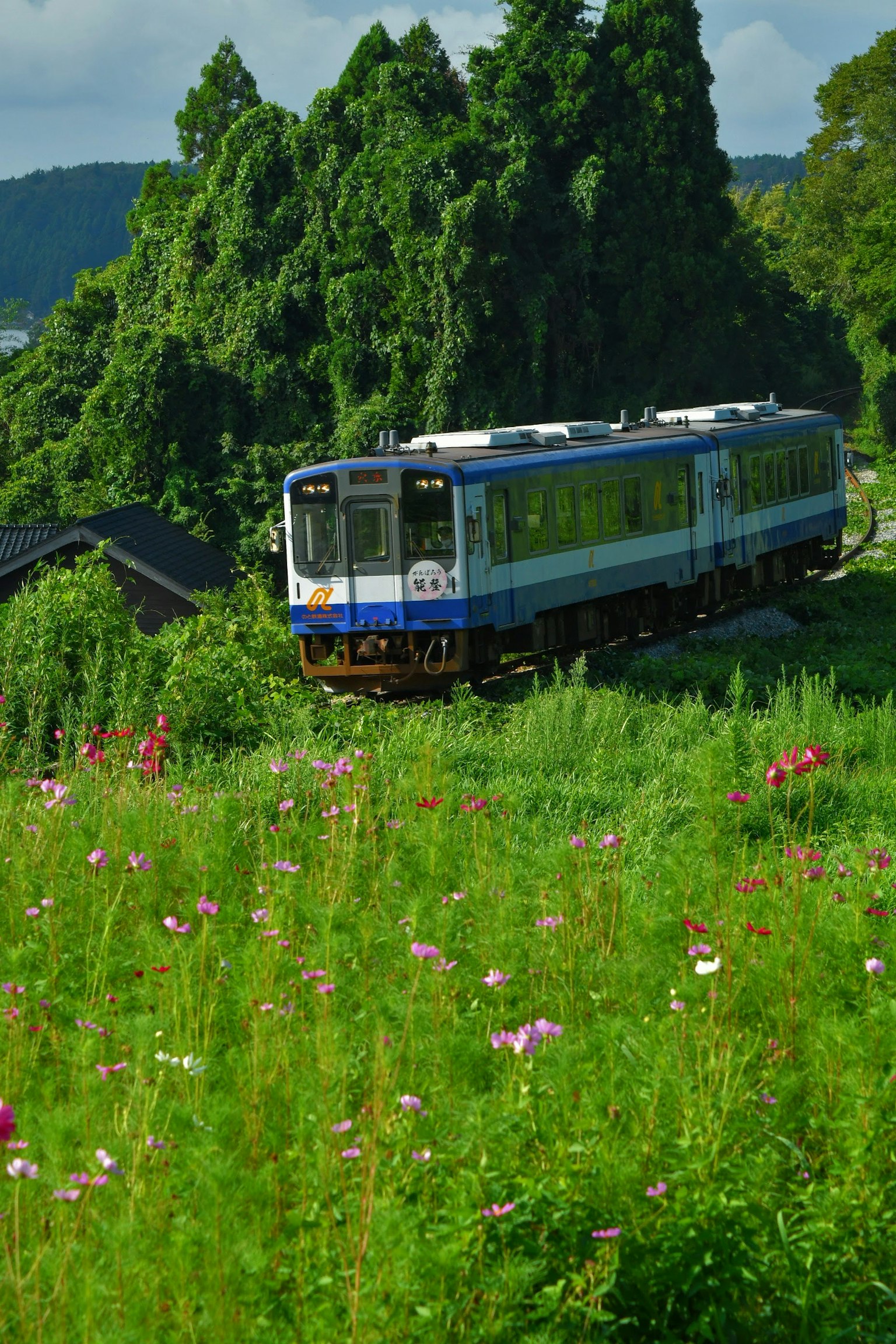Train traveling through lush green landscape with colorful flowers