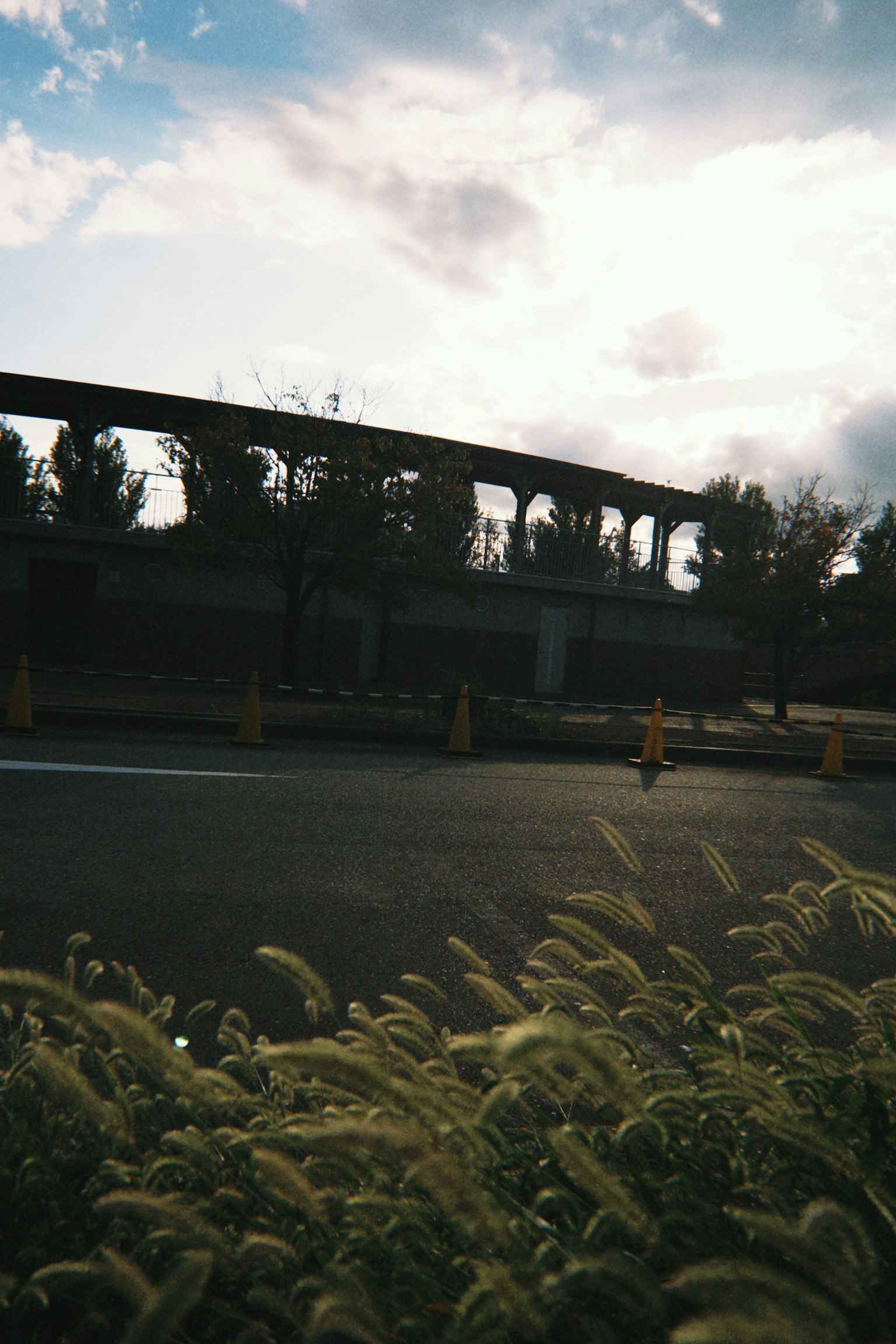 A view of swaying grass with a road and cloudy sky in the background