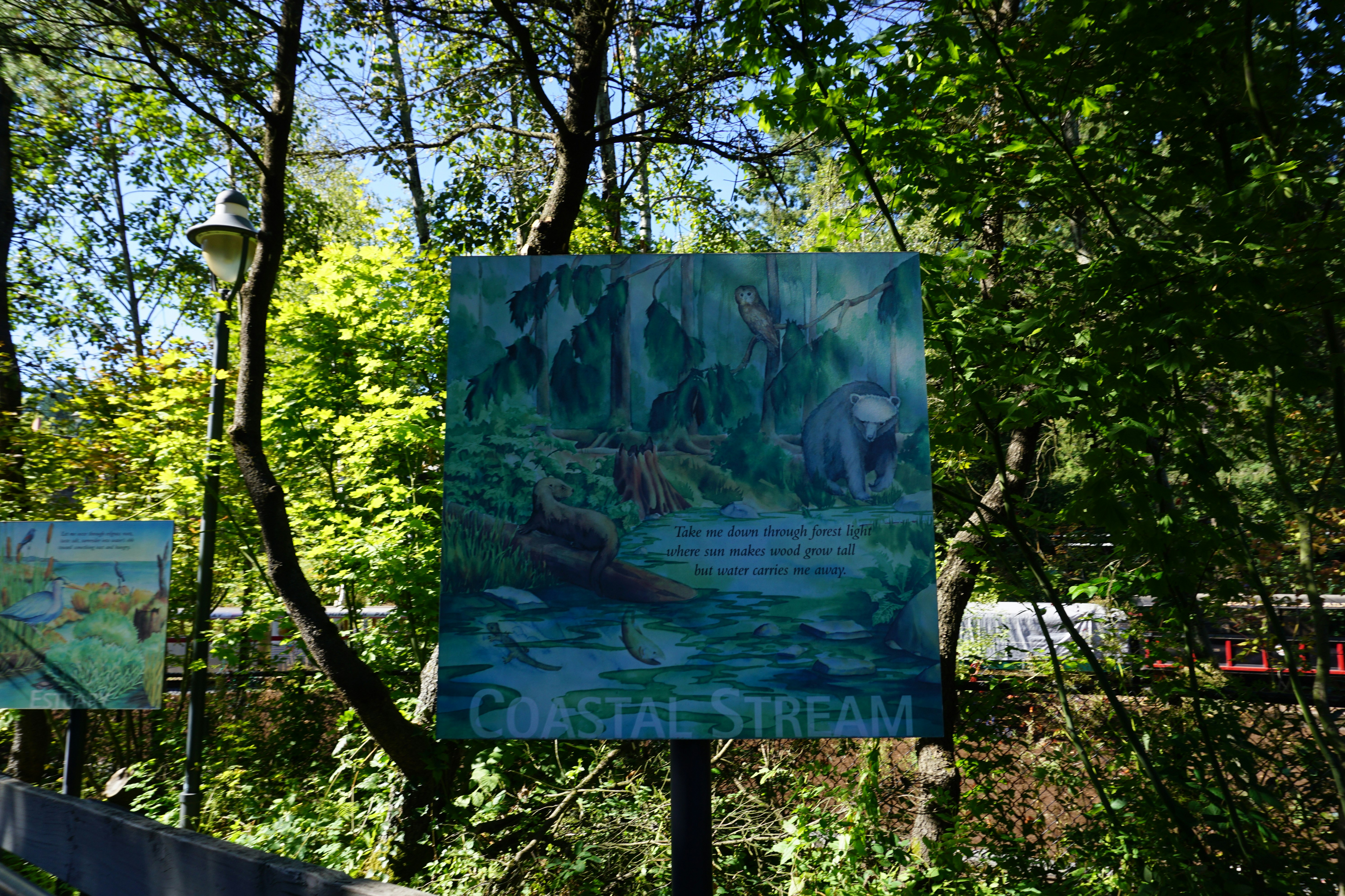 escena al aire libre con un cartel « COASTAL STREAM » entre árboles verdes