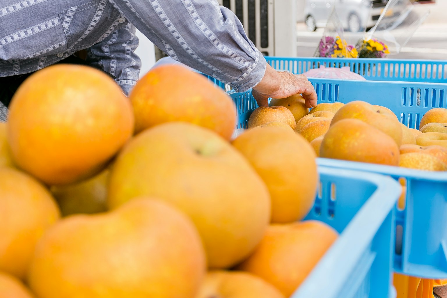 Mano alcanzando manzanas naranjas en cestas azules