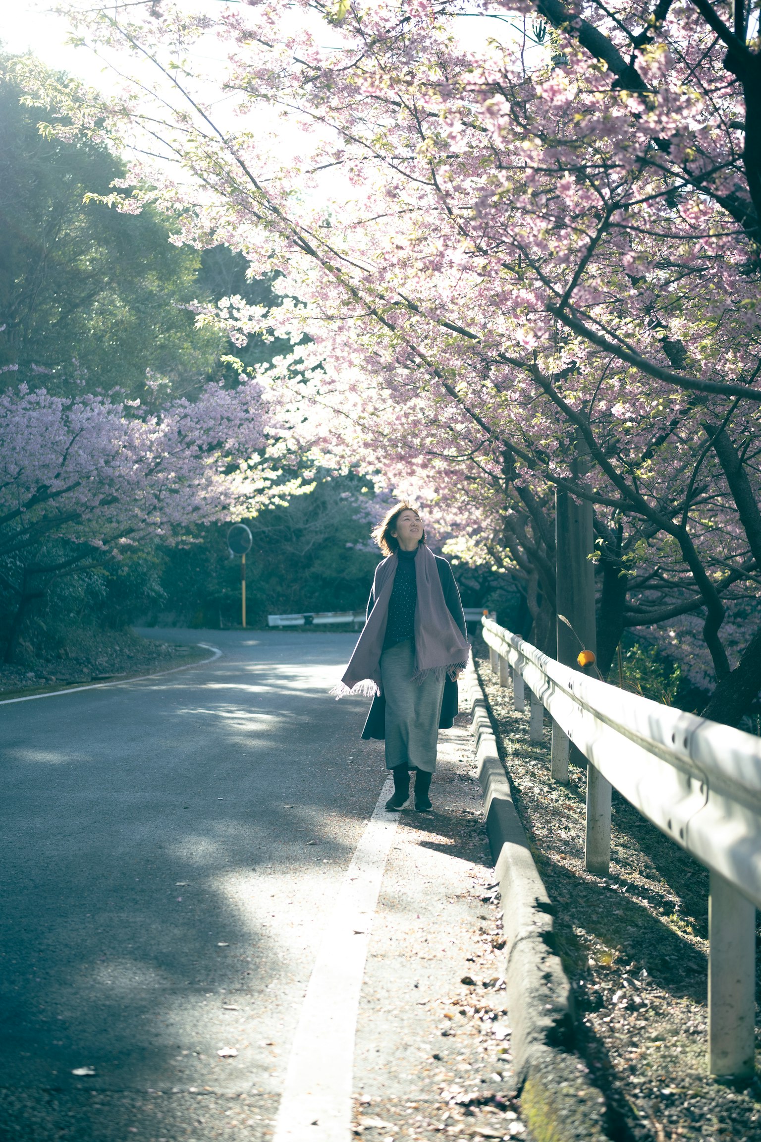 photo-j9rl7i5J9Q83yP7v42CC-image