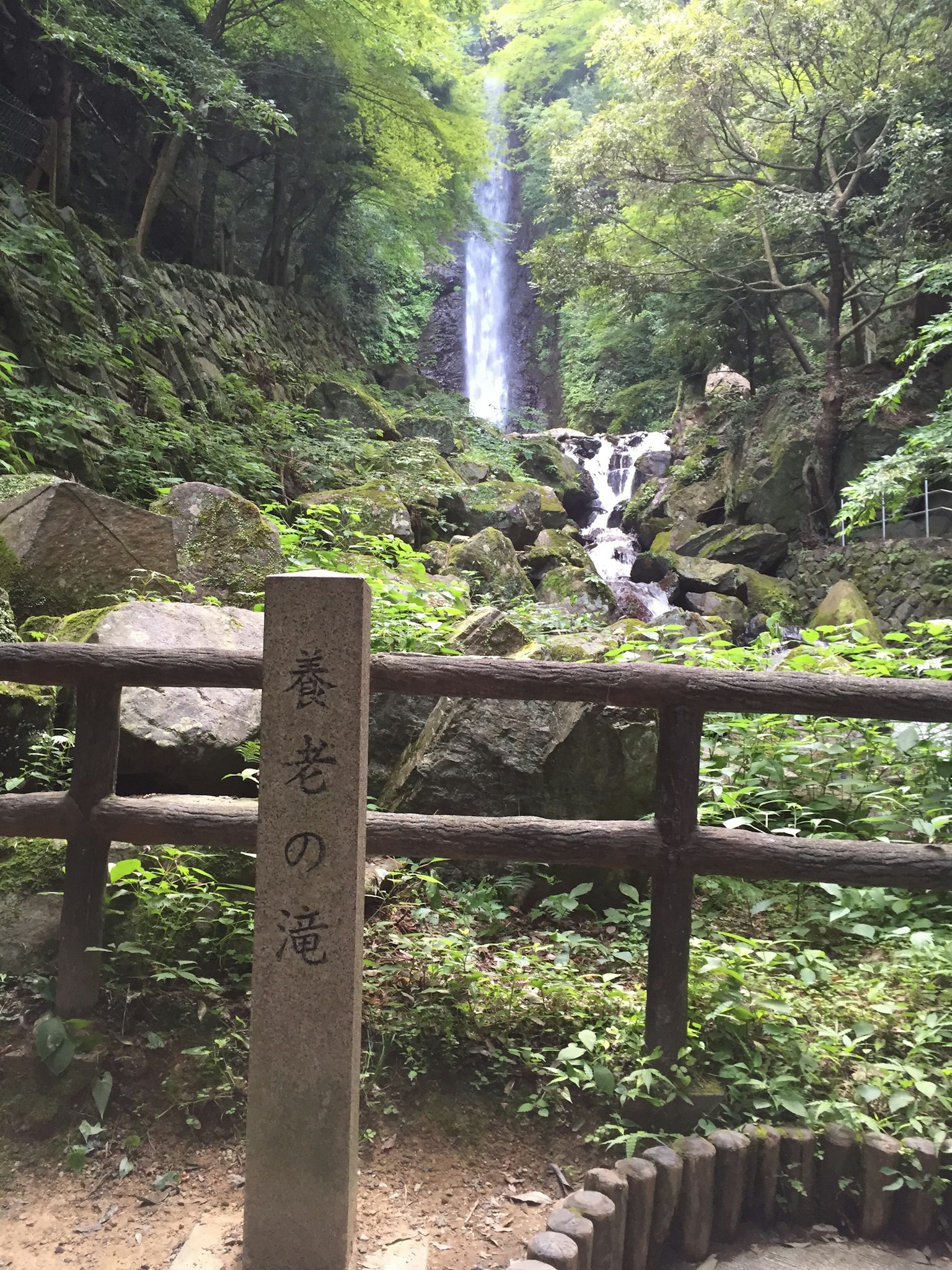 被绿植环绕的瀑布景观和石碑