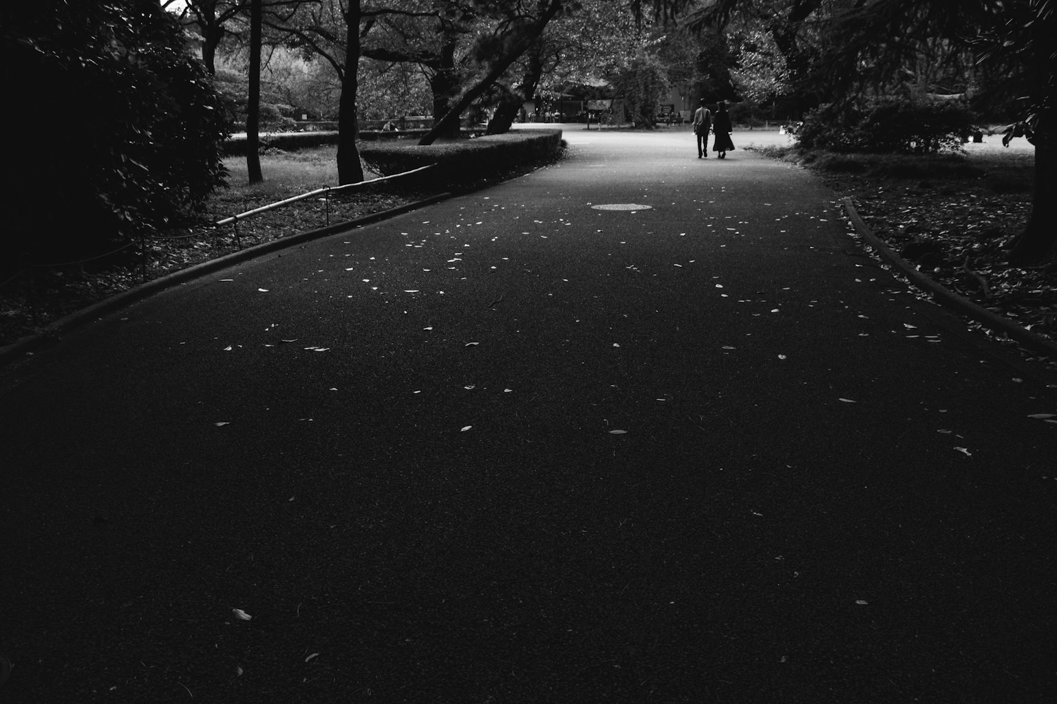 A park path covered with fallen leaves and two people walking