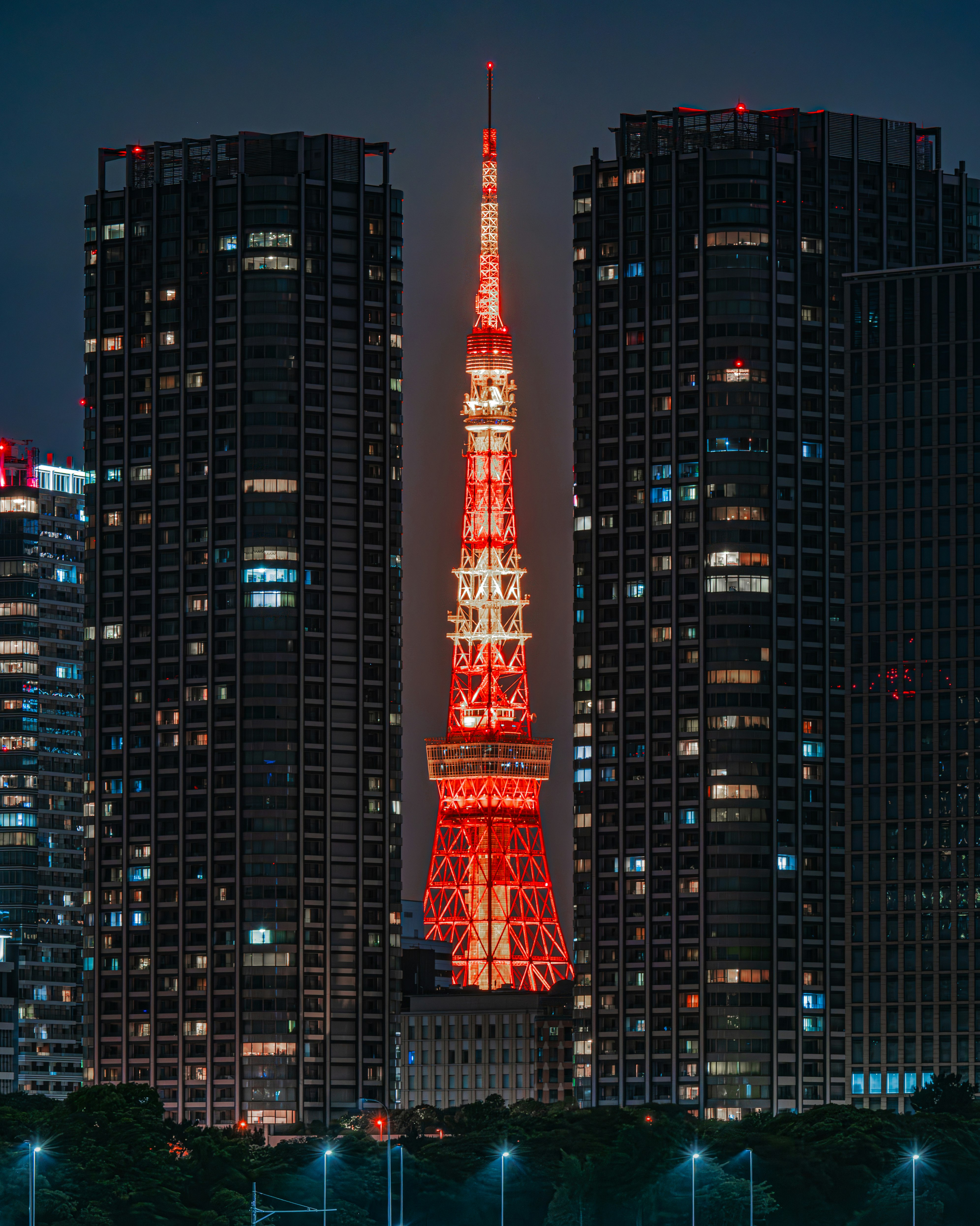 夜の東京タワーと高層ビル群の都市景観