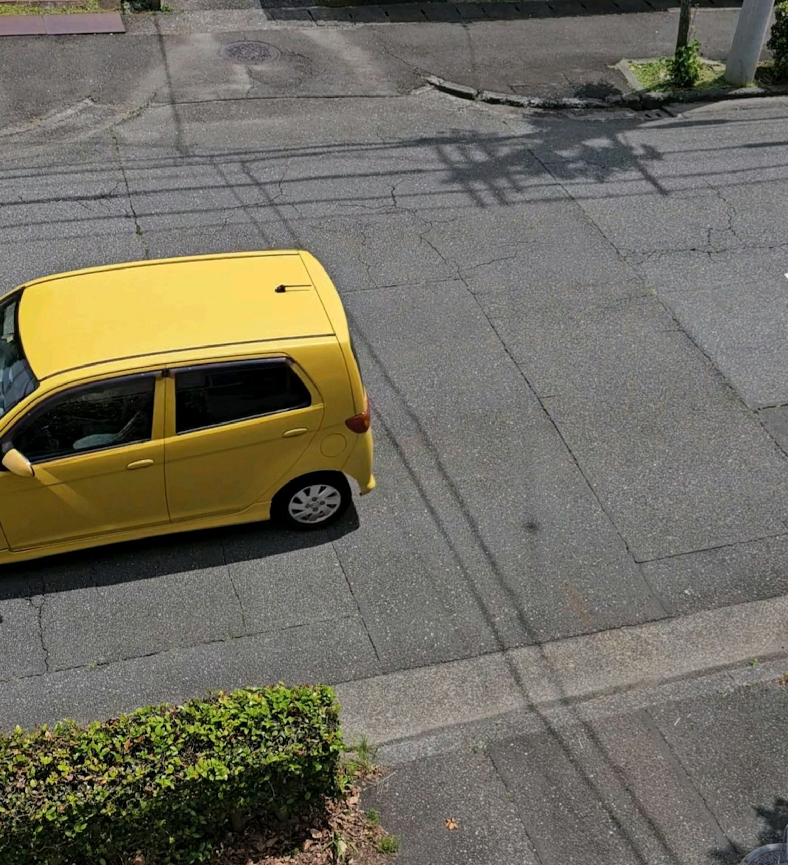 Ein gelbes Auto, das auf der Straße abbiegt, umgeben von Grün