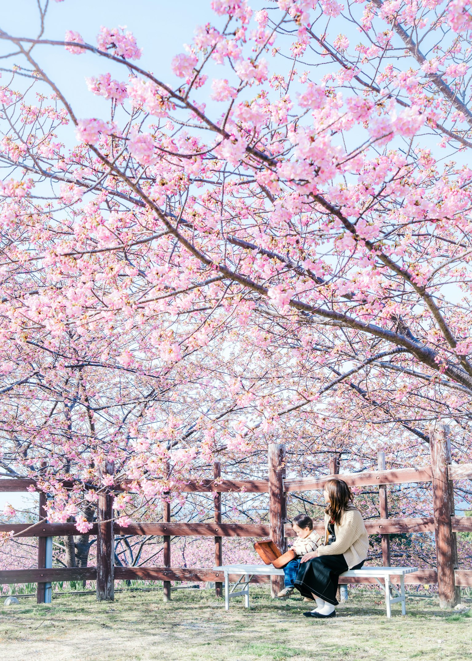 photo-jC0qNHKsDhjl5D6n0FD1-image