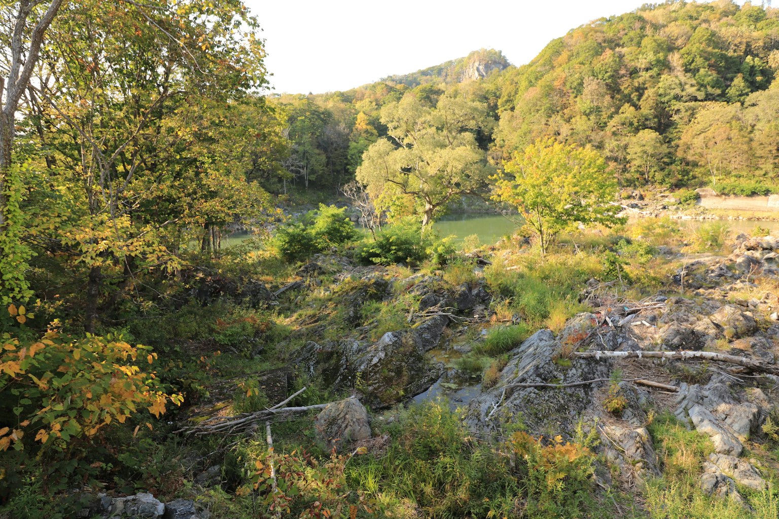 Lush forest and rocky landscape with trees changing colors in gentle sunlight