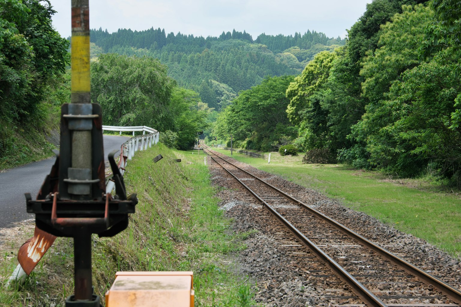 Railway tracks surrounded by lush greenery with a signal post