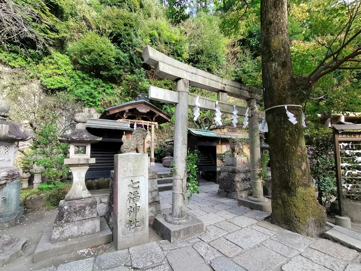 一個寧靜的神社入口，鳥居被綠色植物包圍