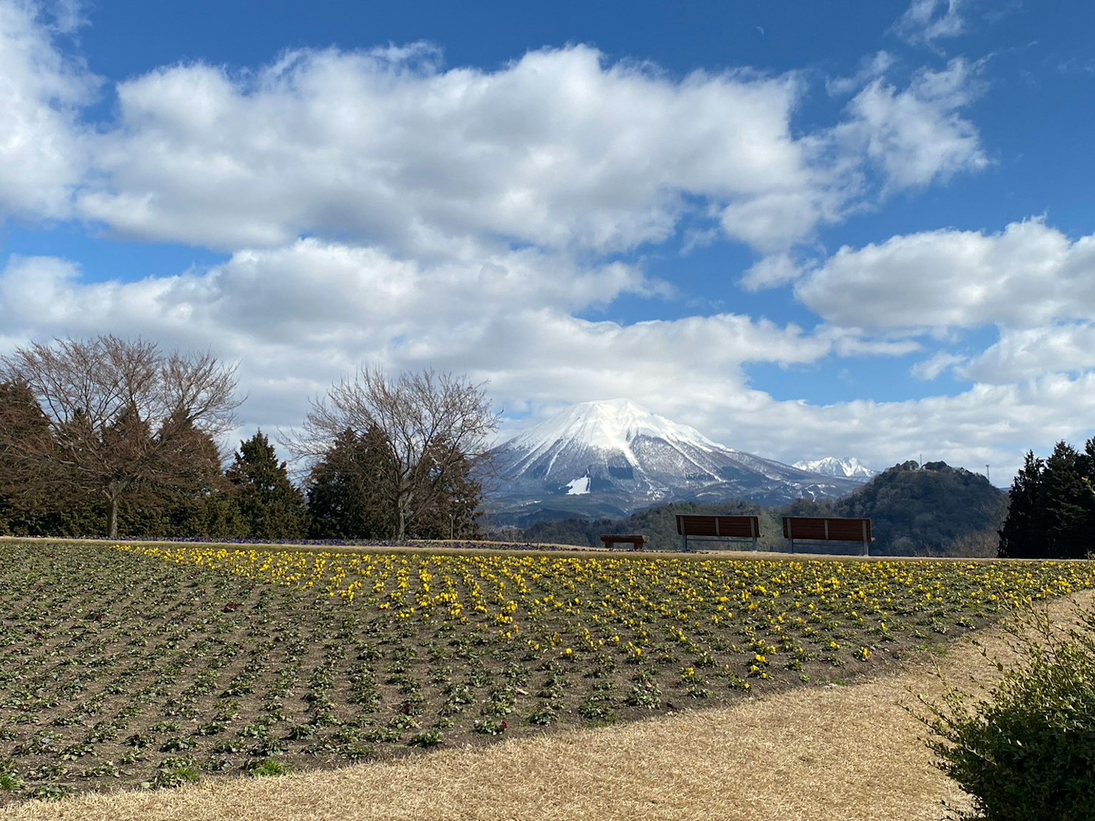Paesaggio con un campo di fiori e montagne sotto un cielo blu e nuvole