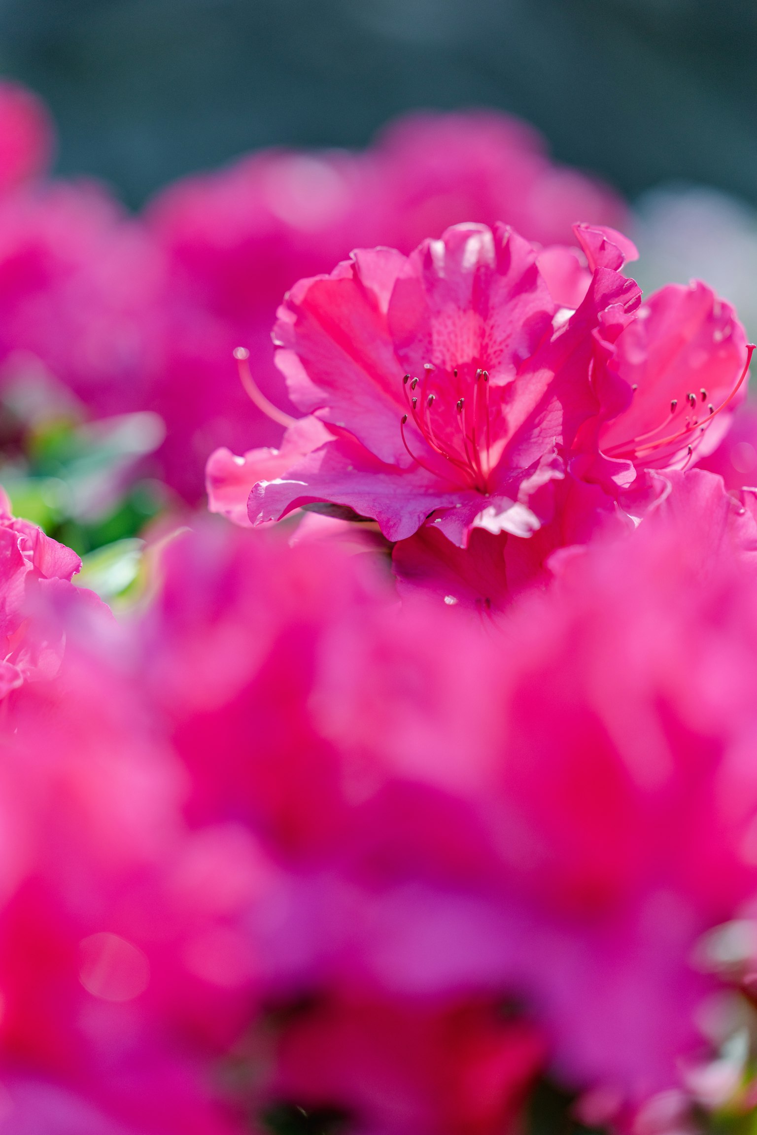 photo-jCRleES5qrp8sQpveItH-image