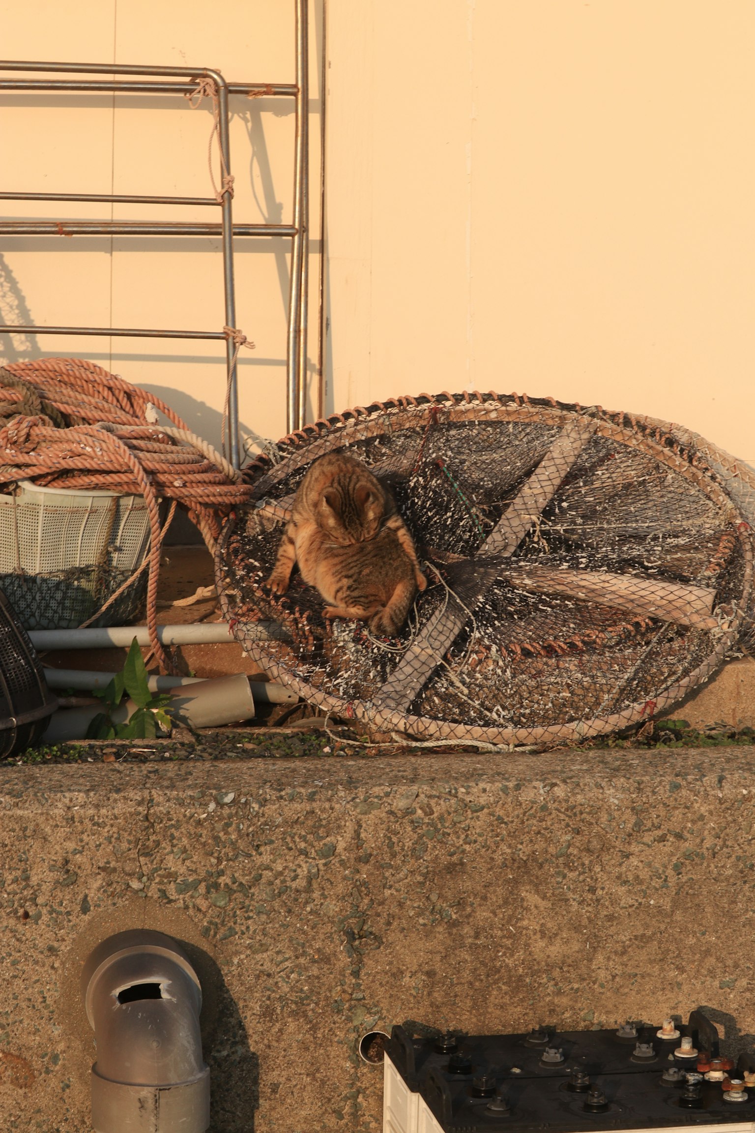 暗い背景にシンプルなグラフィックデザイン