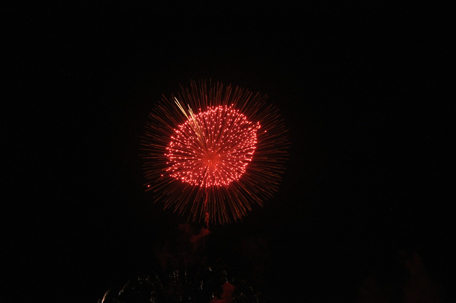 Hermoso momento de fuegos artificiales rojos floreciendo en el cielo nocturno