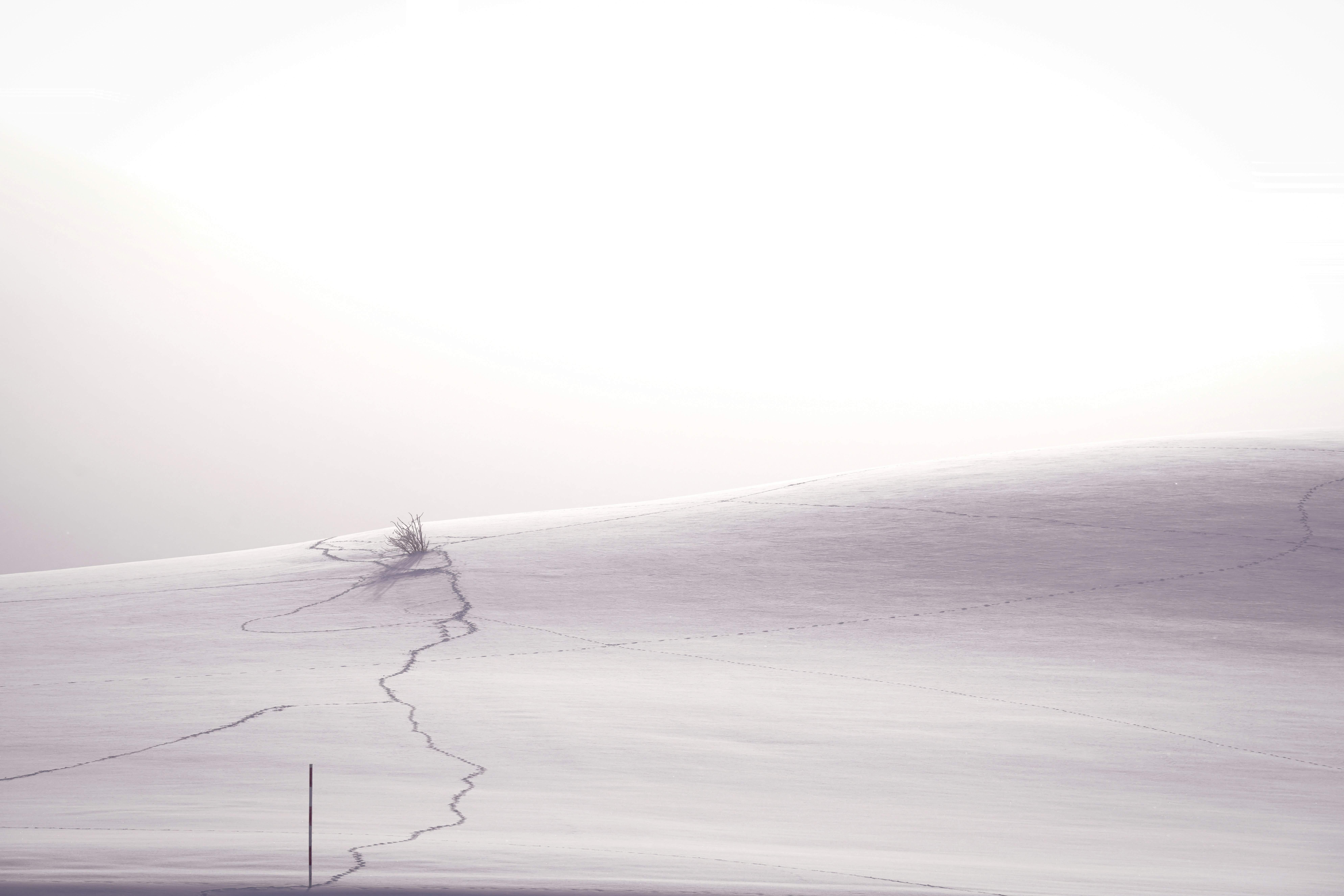 Champ sur une colline enneigée avec traces d’animaux et lumière perçant les nuages de neige