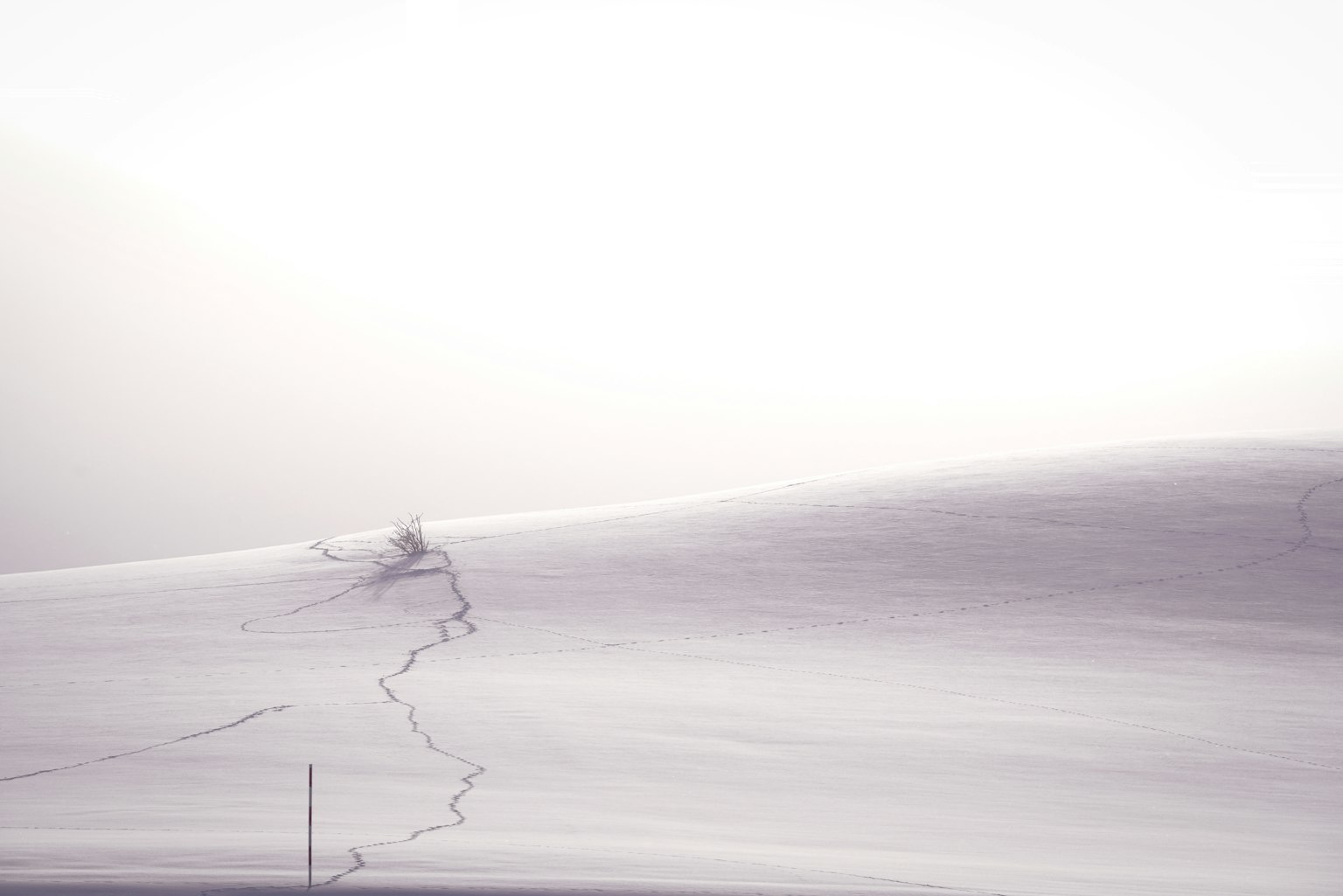 雪覆盖的山丘景观上的脚印
