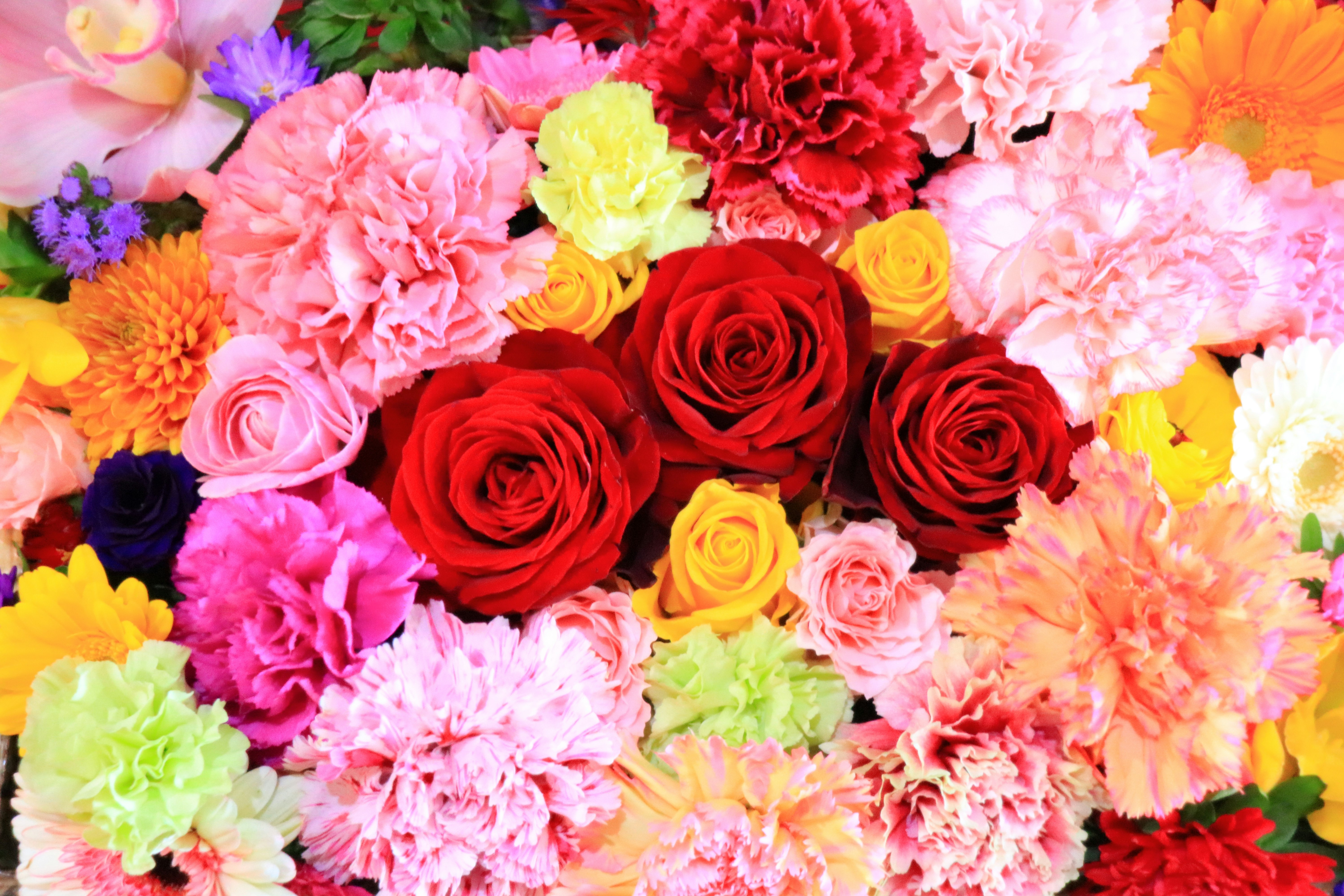 色とりどりのバラとカーネーションの花束
