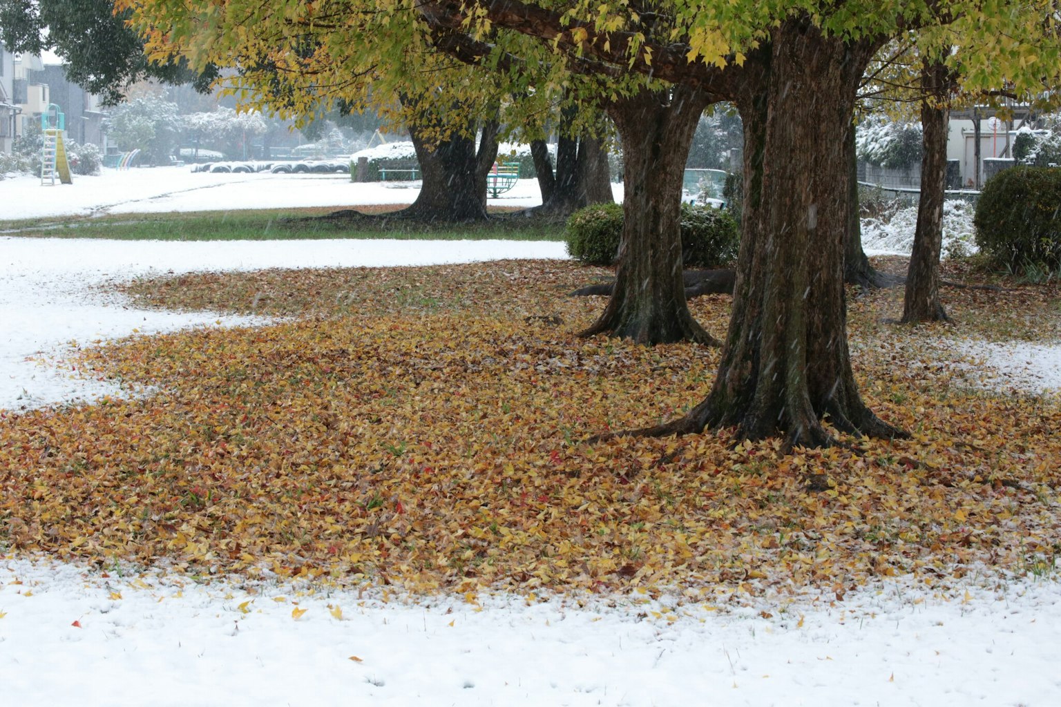 Parkszene mit schneebedecktem Boden und verstreuten Herbstblättern