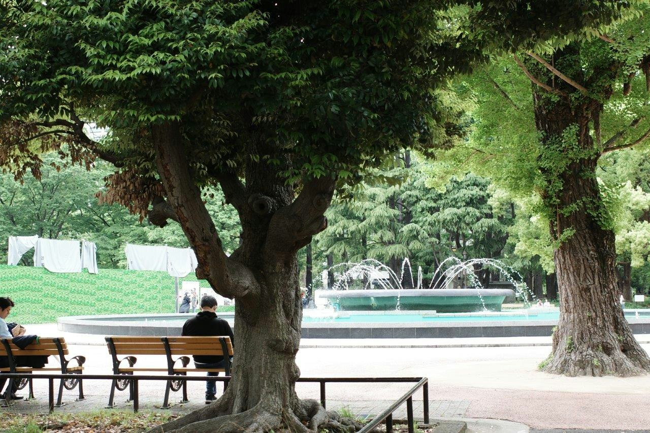 bangku taman dan air mancur di alun-alun yang rindang