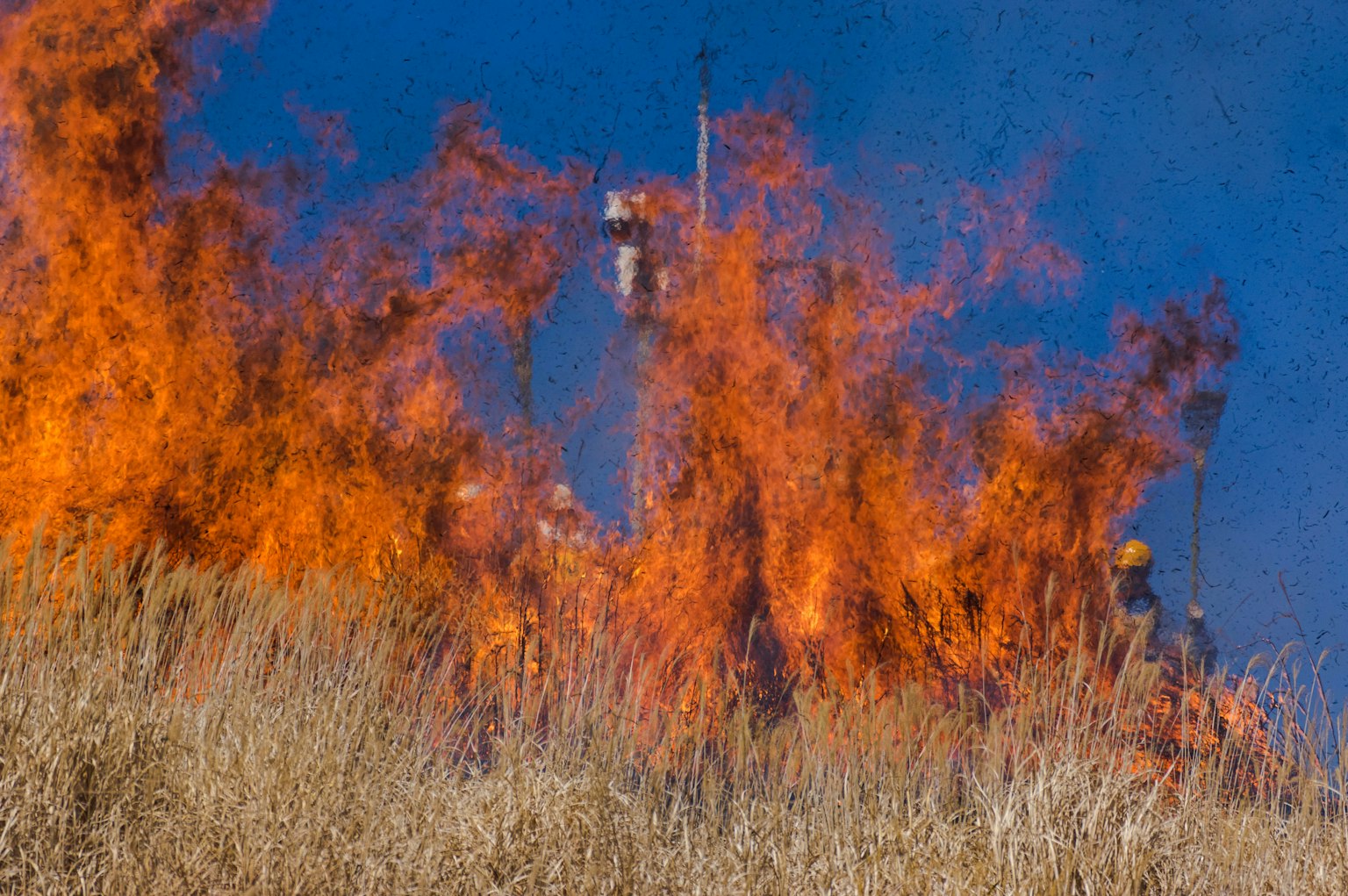 Flammen, die in einer Graslandschaft mit blauem Himmel aufsteigen