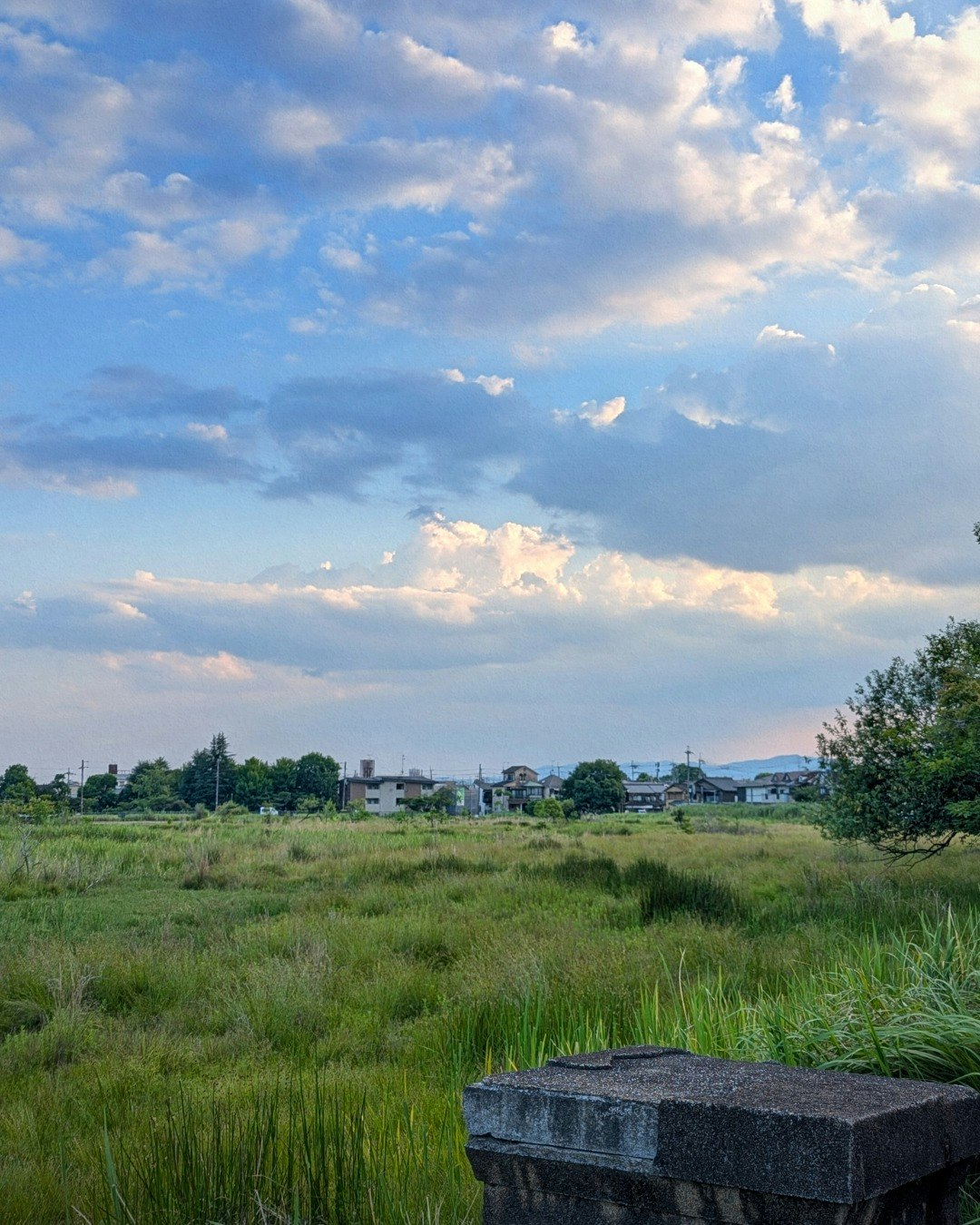 暮れる深泥池の夕空と雲の風景