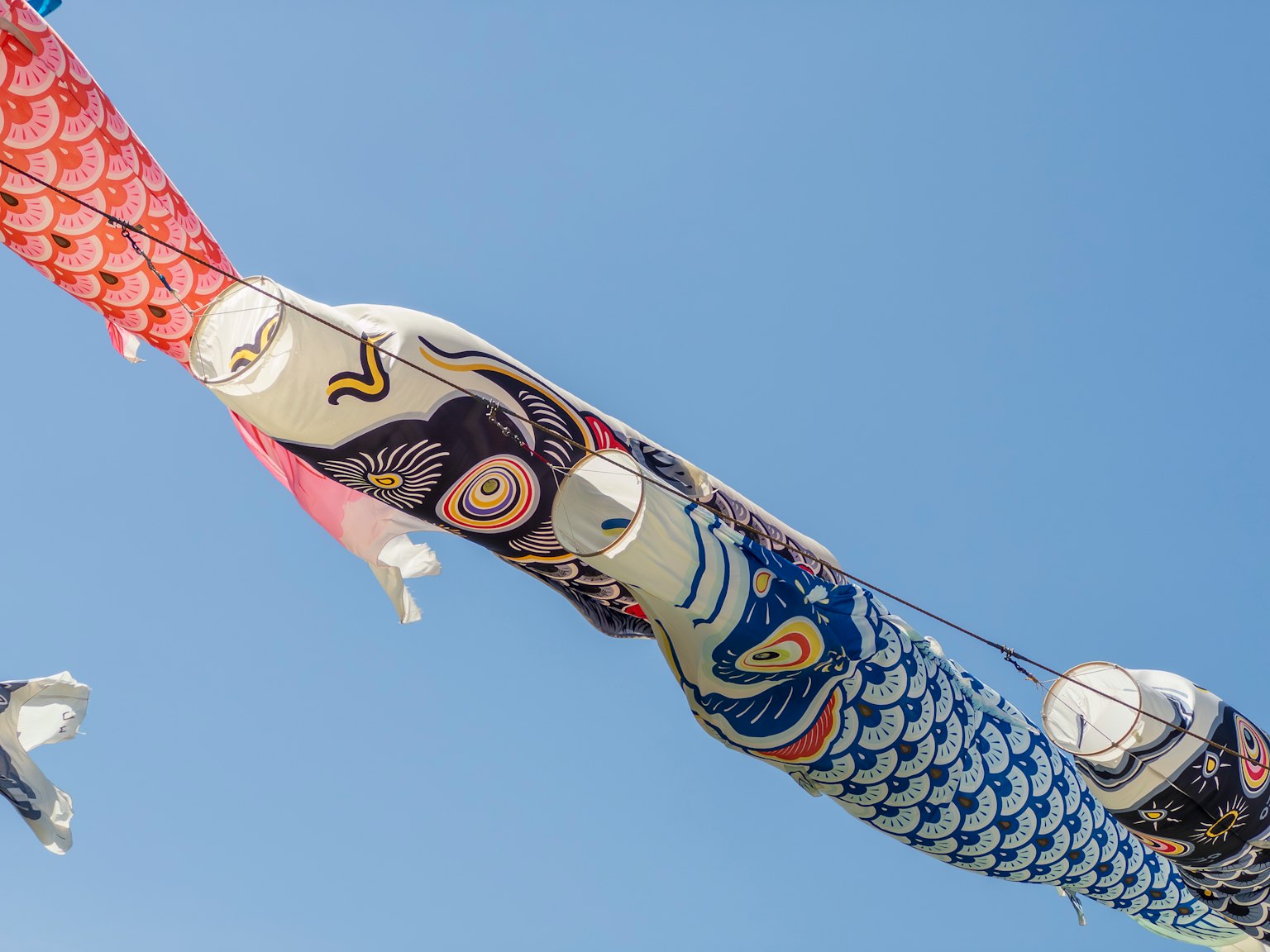 Cờ koinobori bơi dưới bầu trời xanh