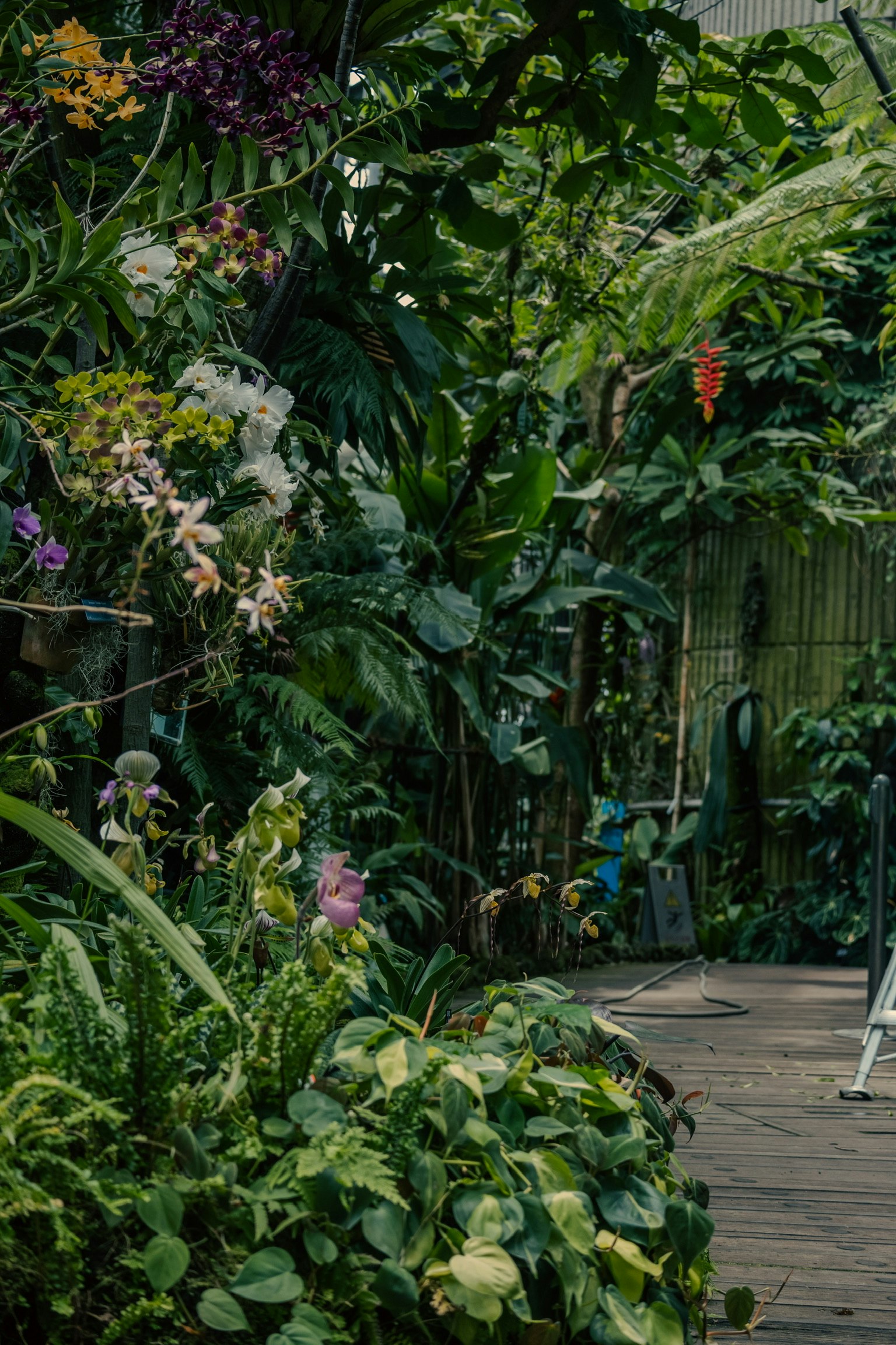 Lush greenery with colorful flowers along a garden path