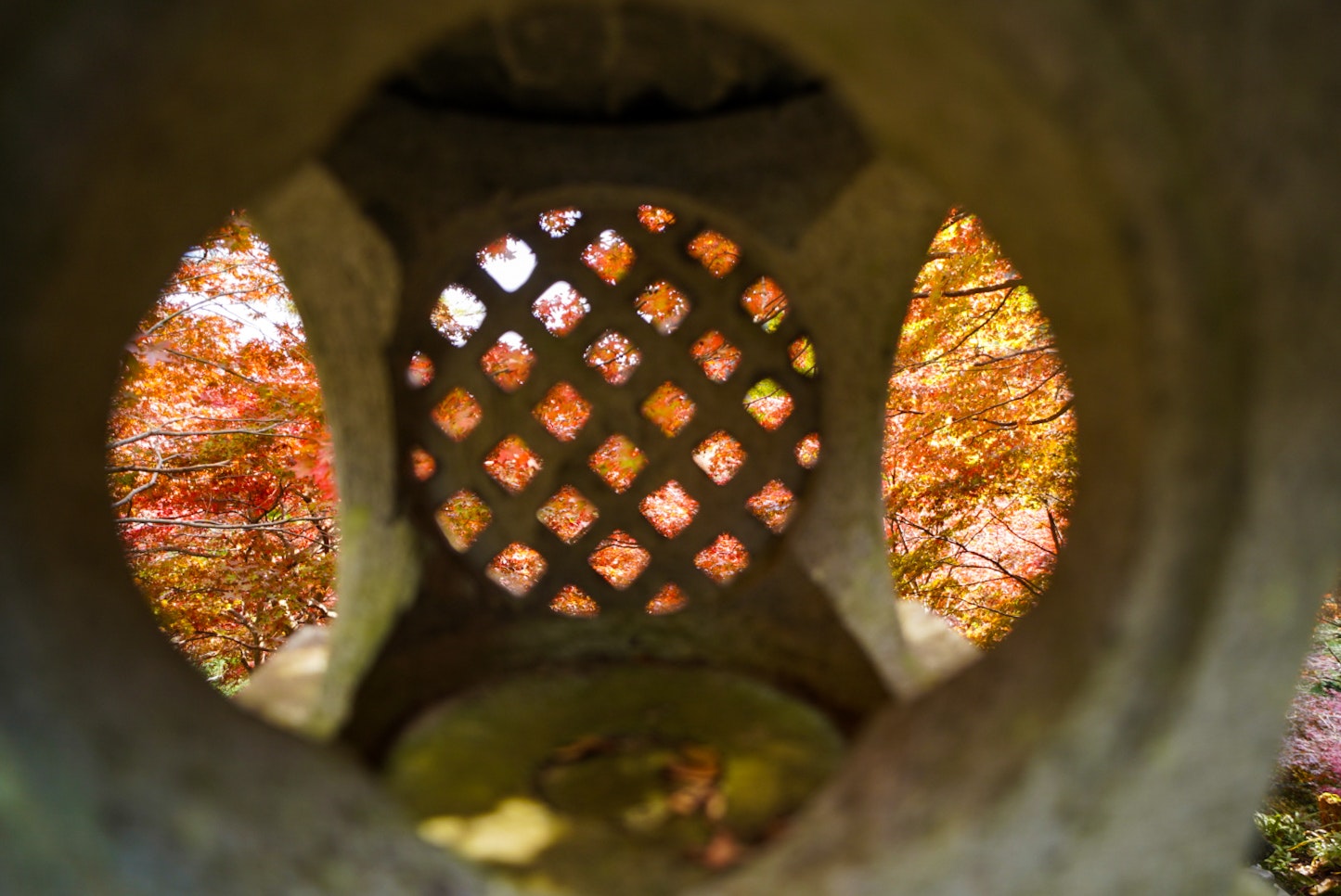 石の穴から覗く紅葉の木々