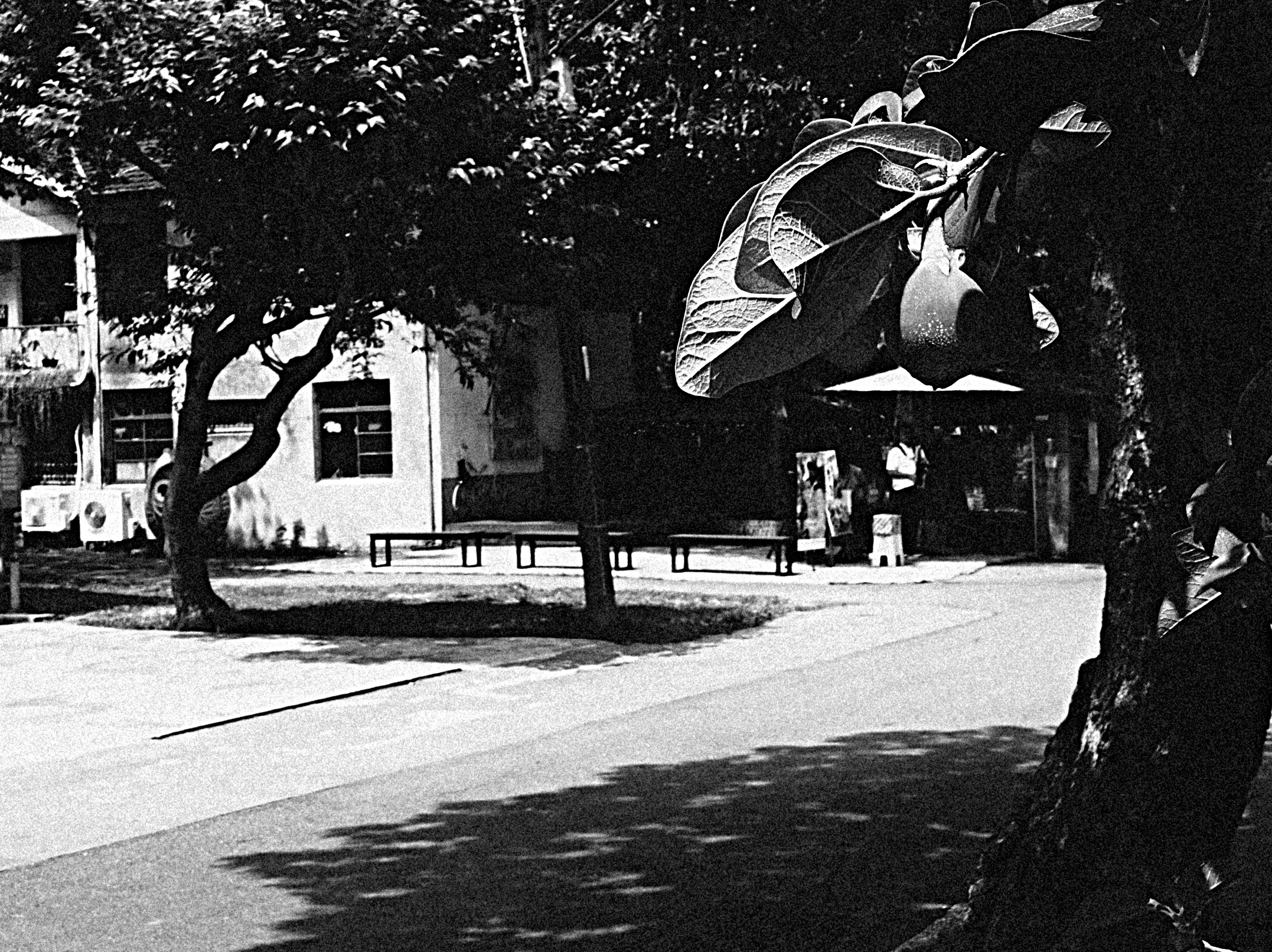 Wohnstraße mit Bank im Innenhof im Schatten der Bäume