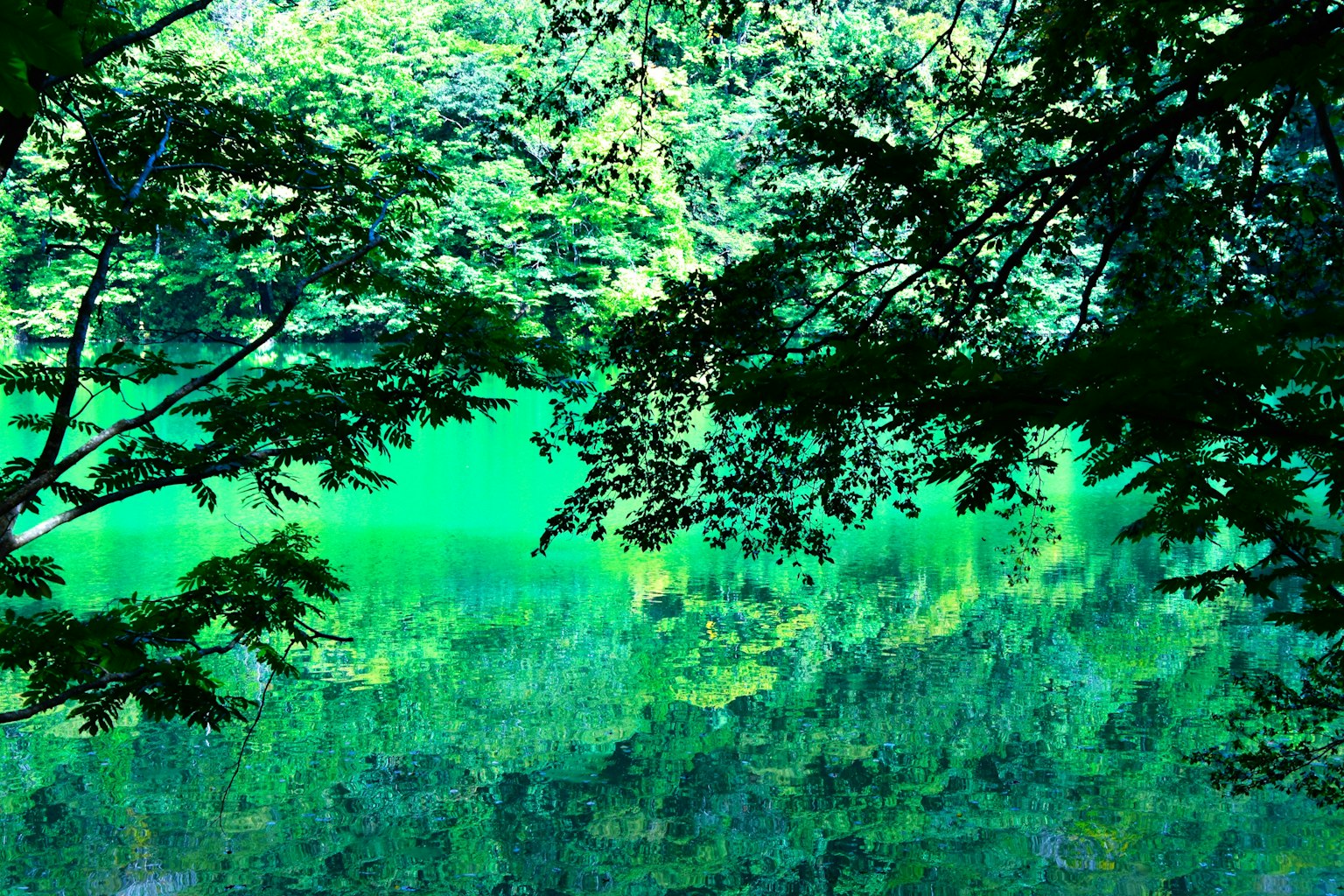 photo-jHtVUE5AU0esFGVALIvz-image